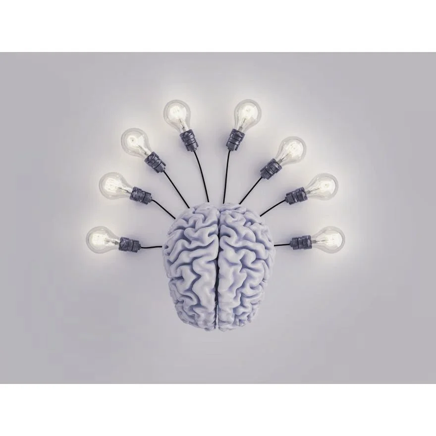 A brain with light bulbs connected to it by wires, resembling a lighted brain idea concept.