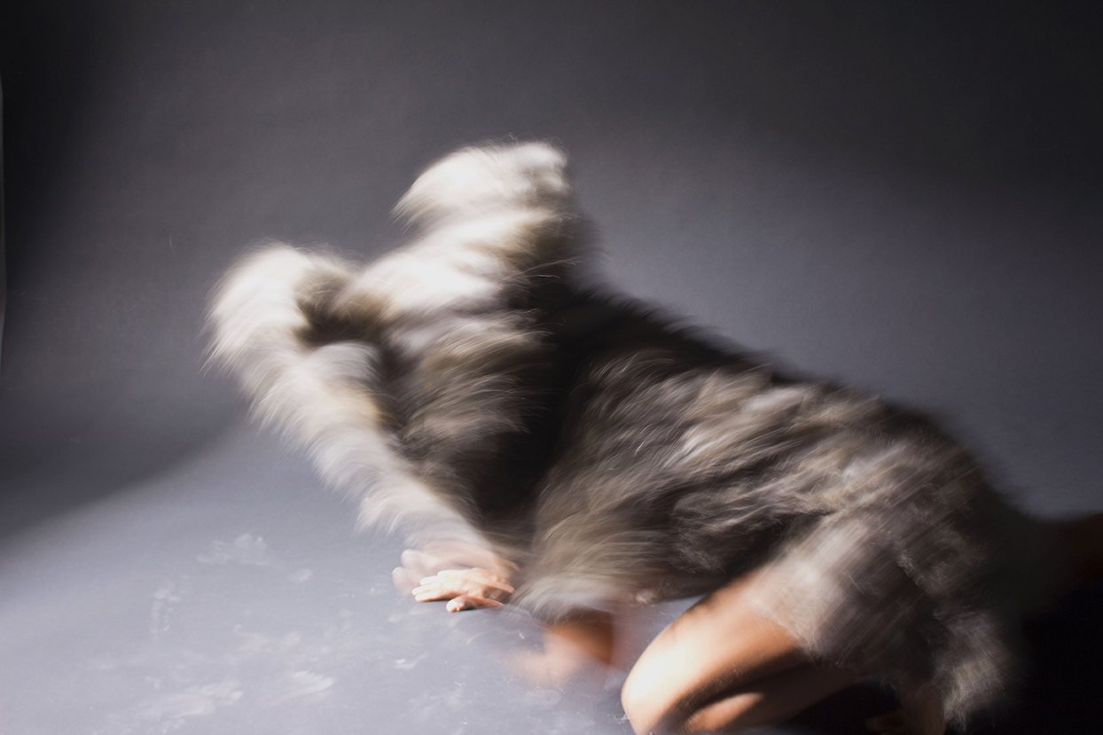 Fear and Flee (2017)
