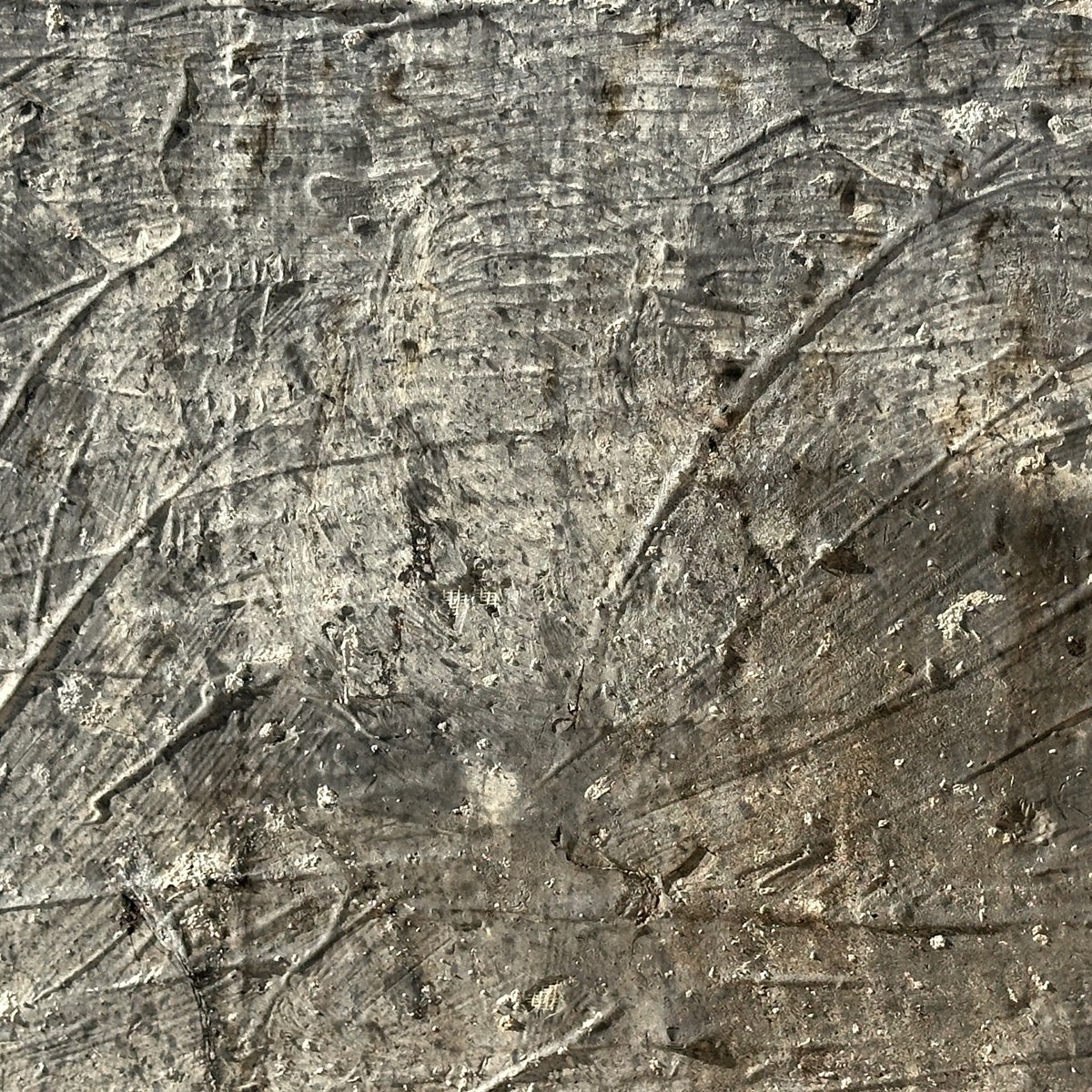 Photograph 7