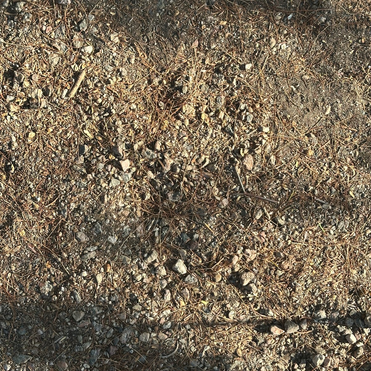 Photograph 1