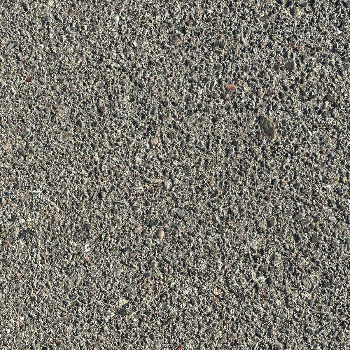 Photograph 3