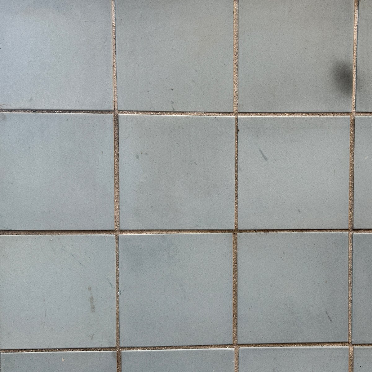 Photograph 5