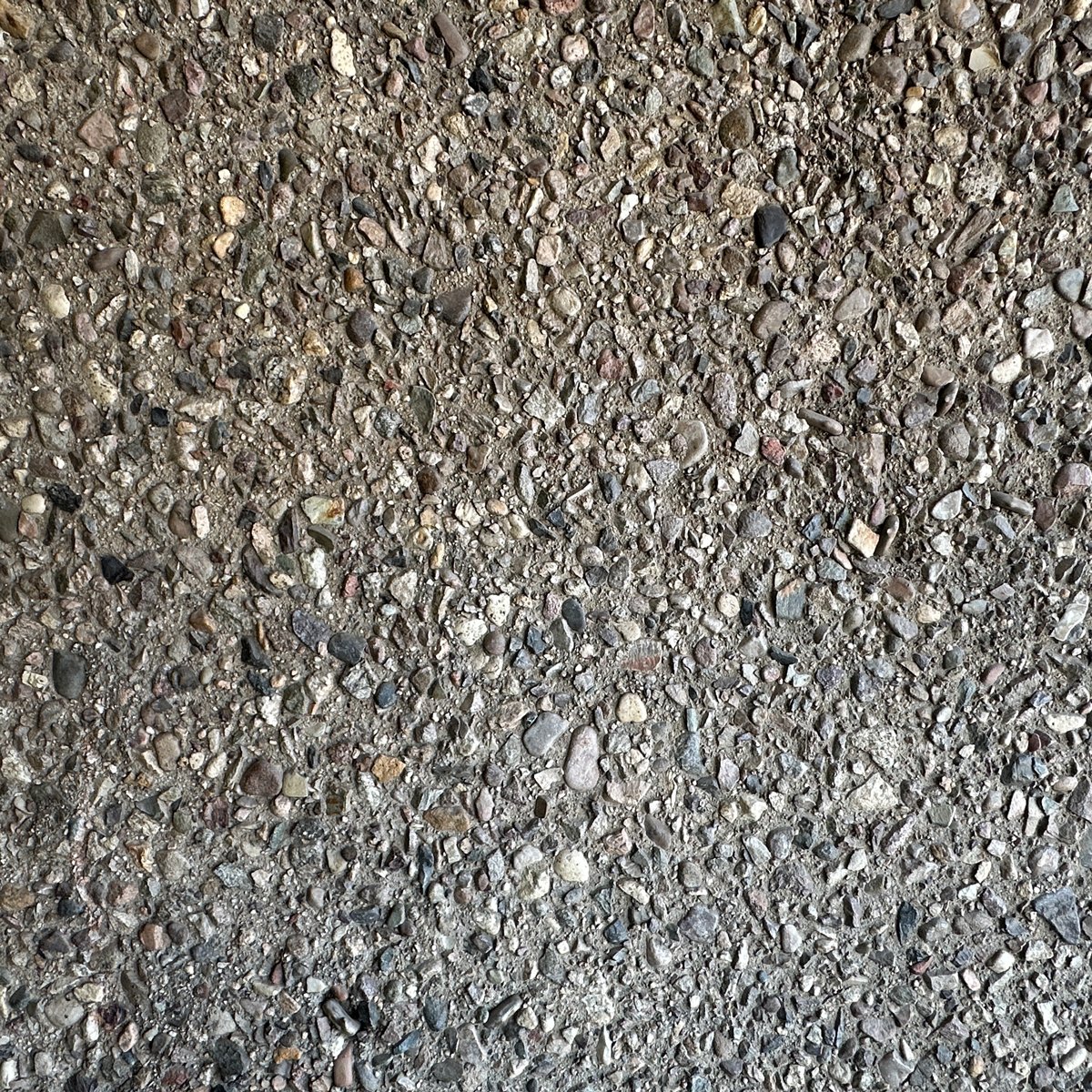 Photograph 6