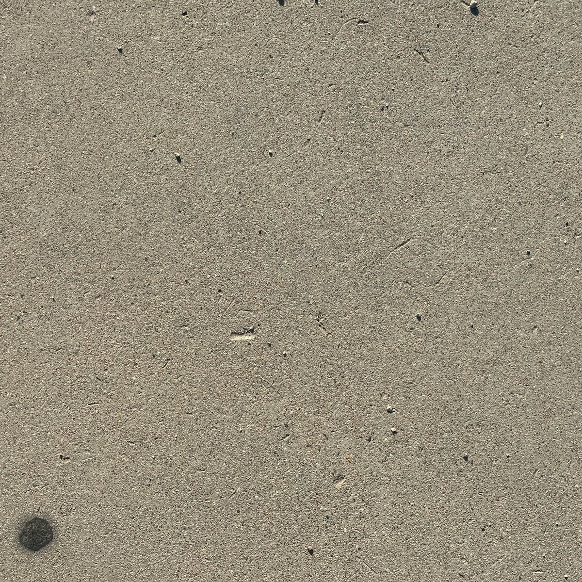Photograph 2
