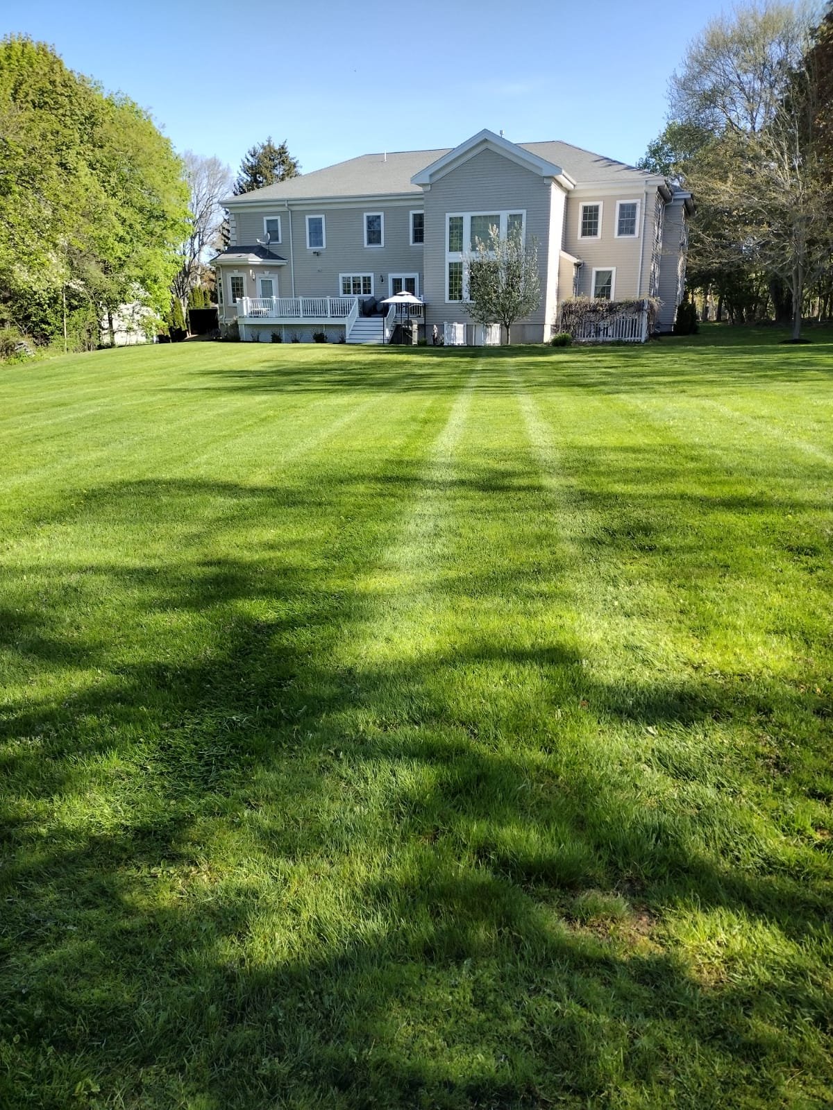 Landscape Maintenance