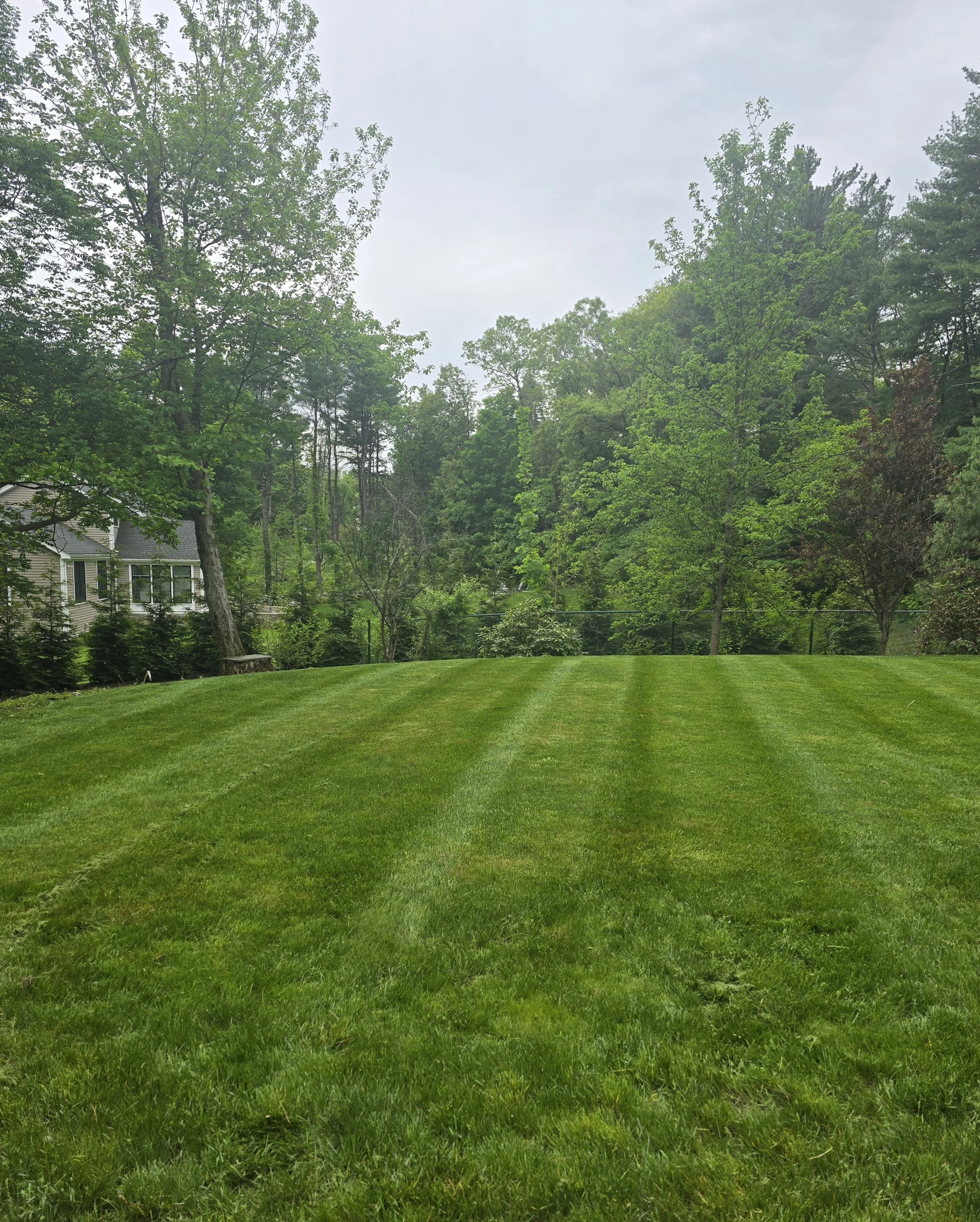 lawn-care-service-weston-ma.jpg