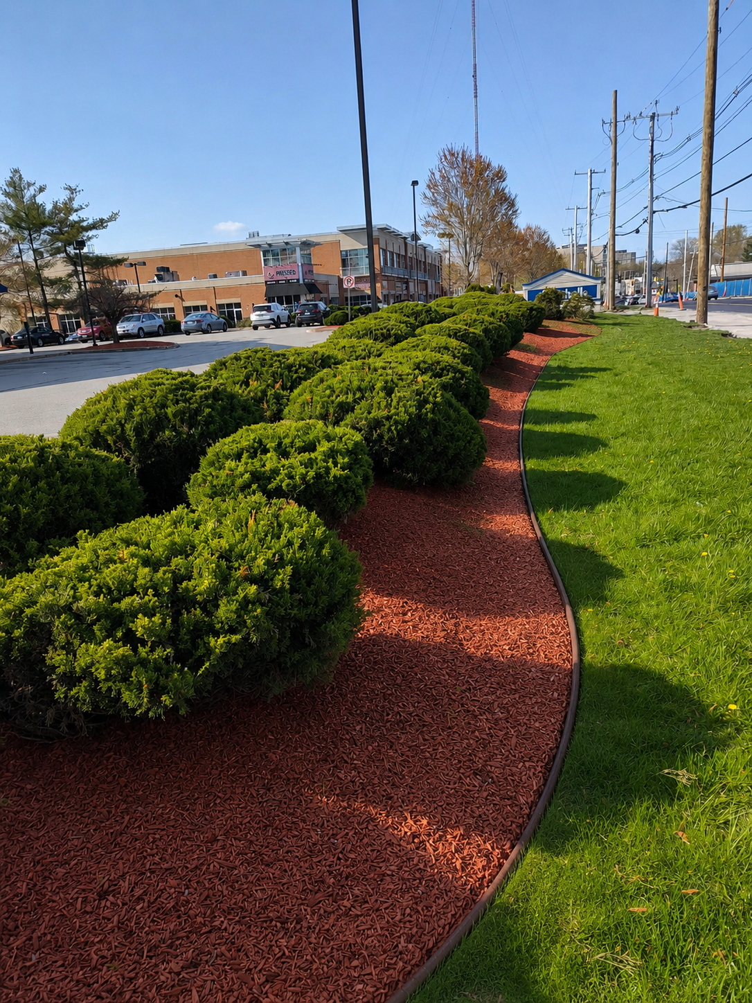 commercial-landscaping-newton-ma.png