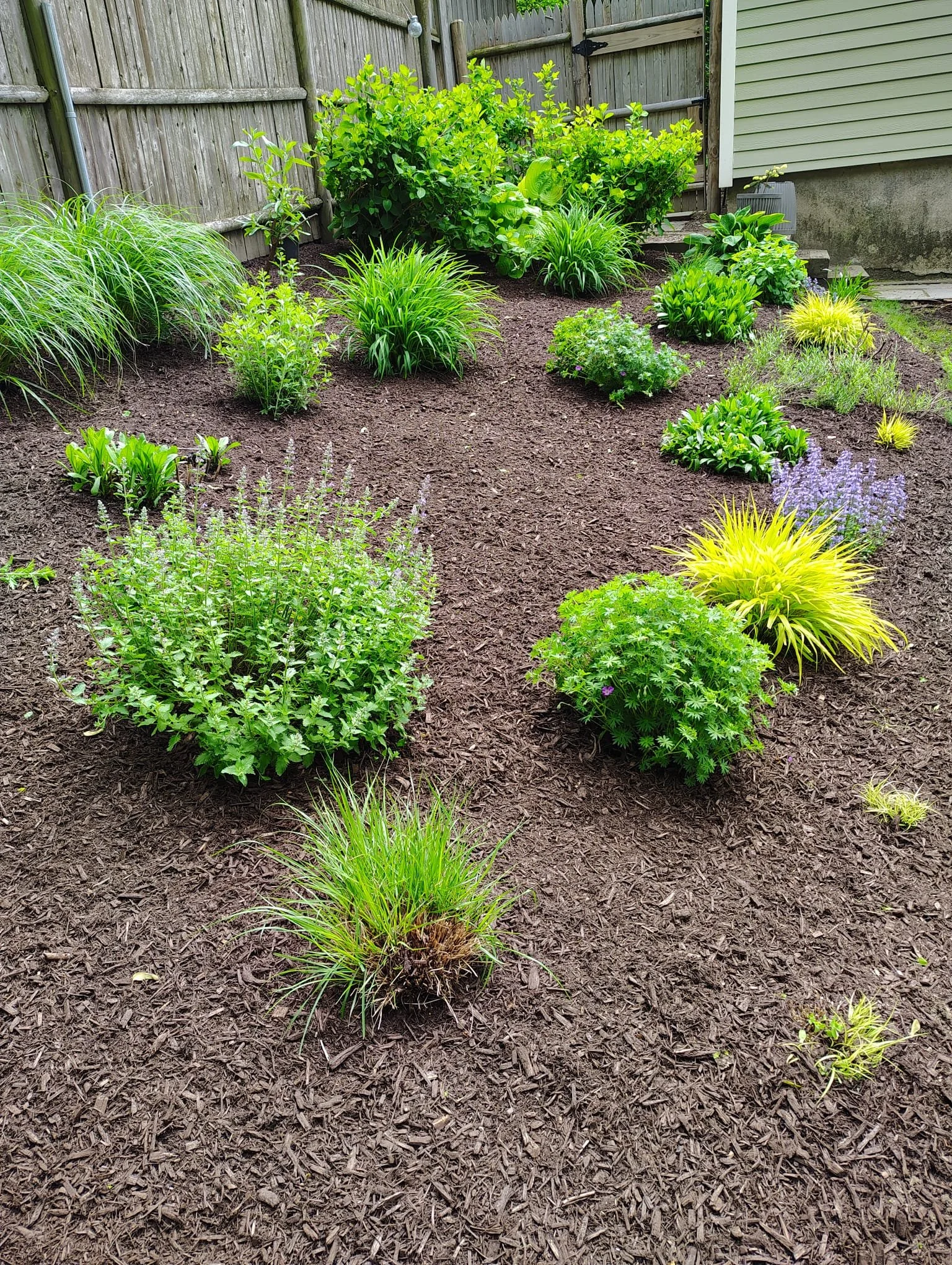 plants-and-mulch-brookline-ma.jpg