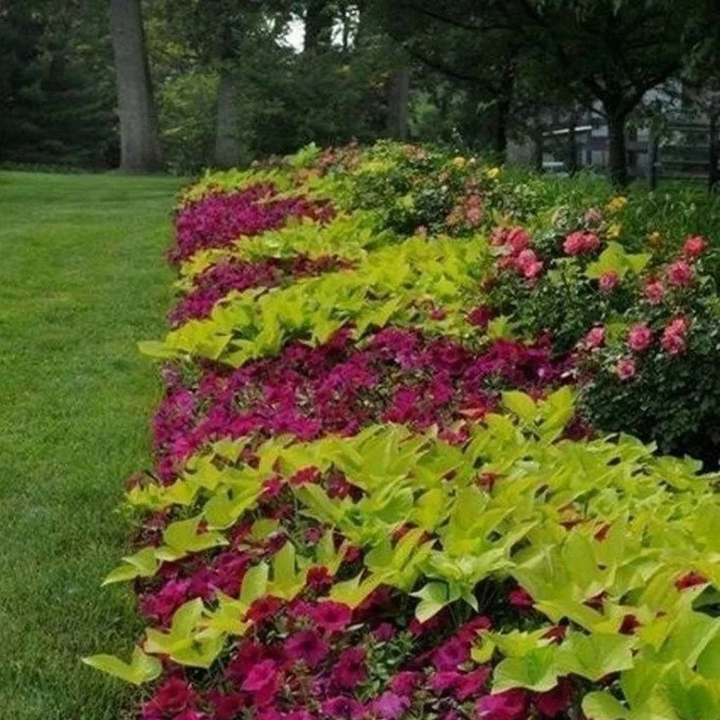 Gardening in Bedford, MA