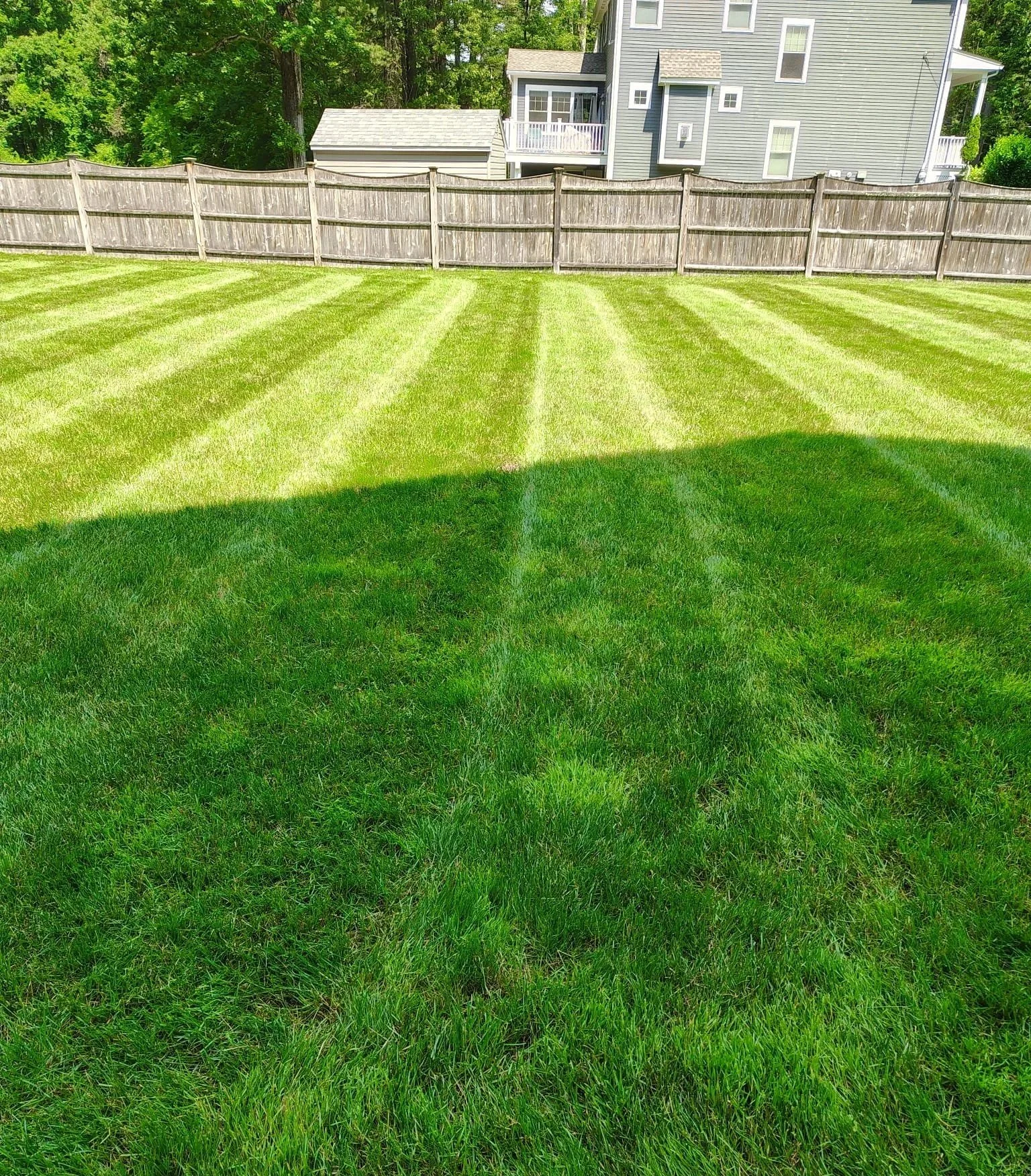 Professionally maintained lawn by Coronado Landscaping in Bedford, MA