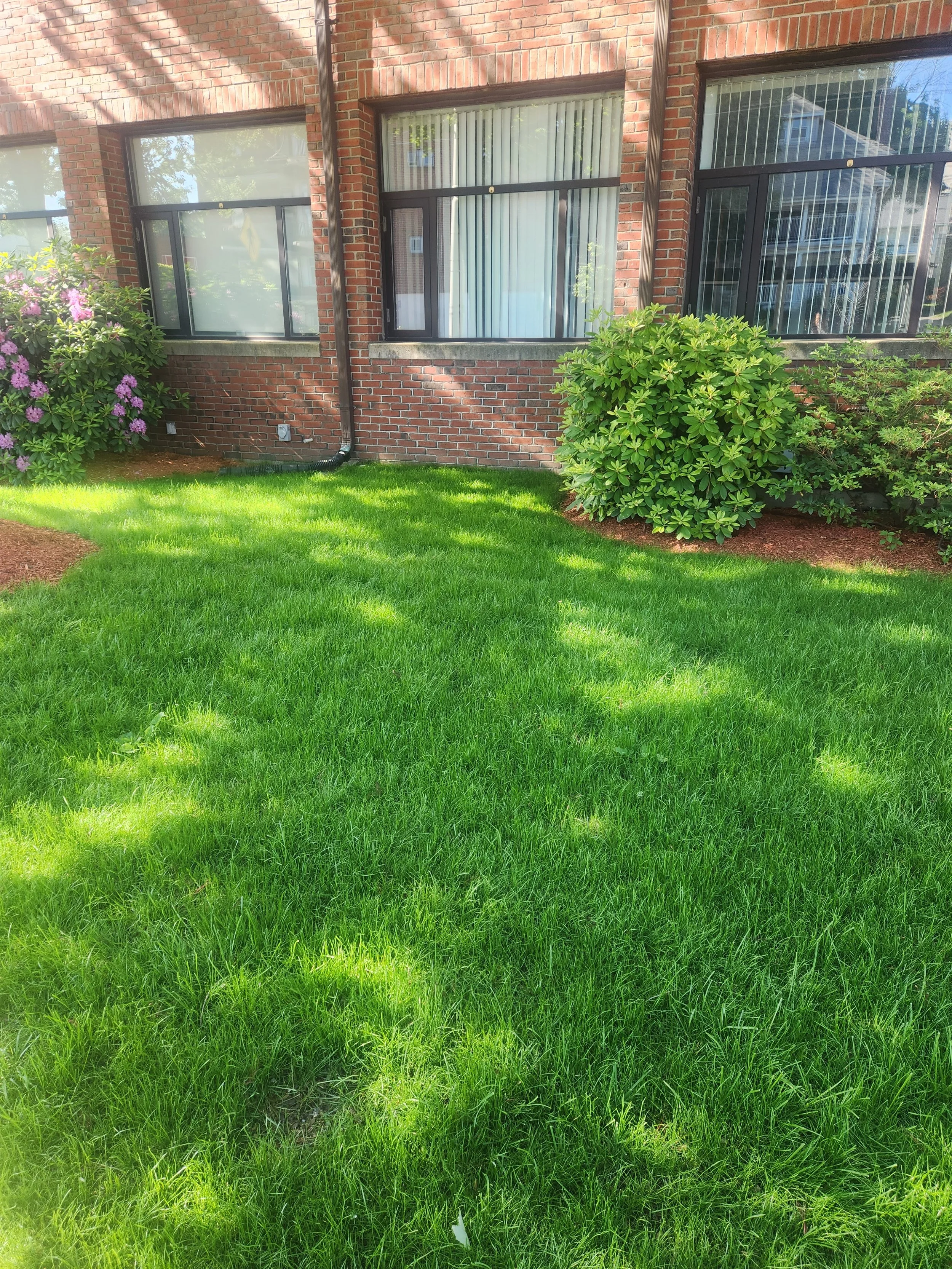 Lawn Care & Restoration