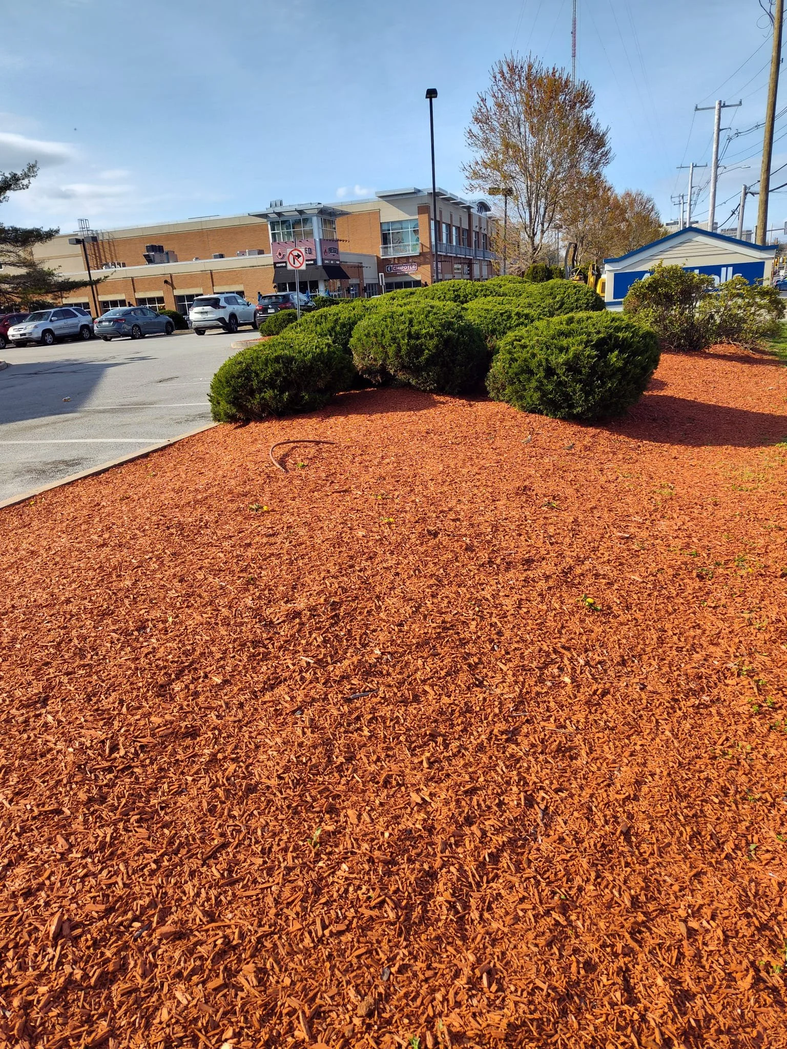 commercial-mulch-newton-ma.jpg