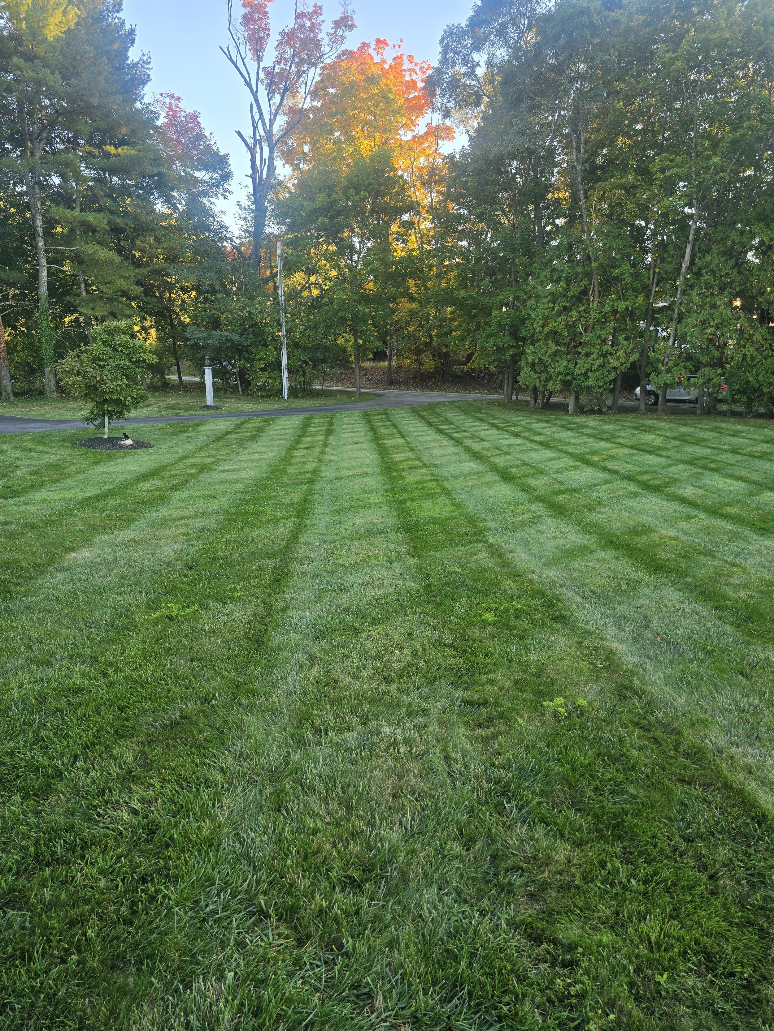 20261003_173621.jpg
