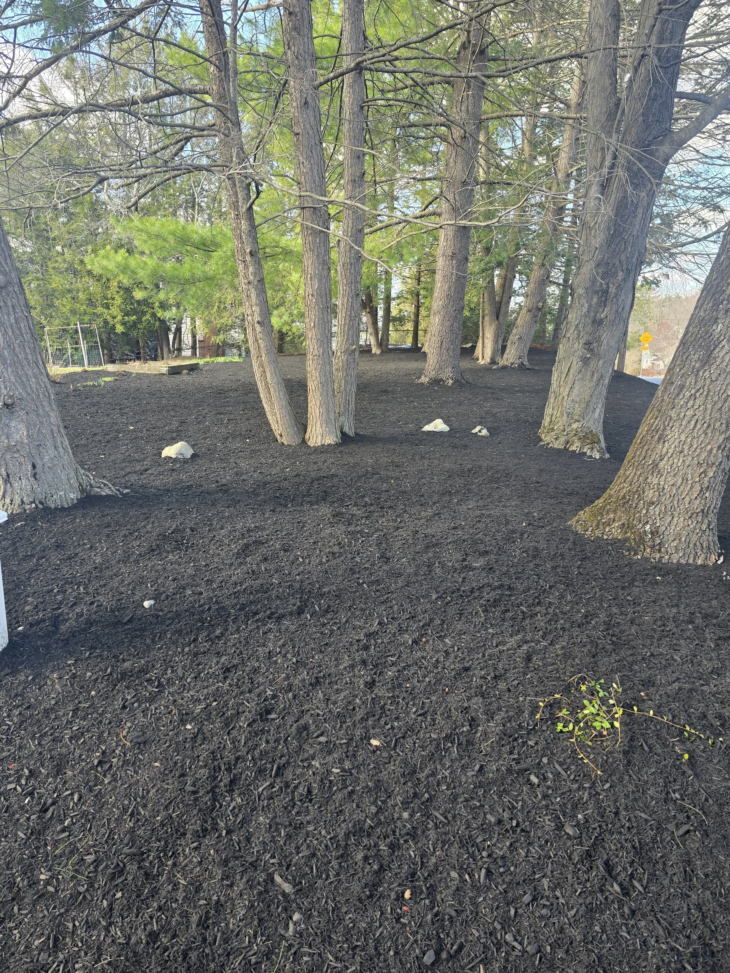 mulch-bed-in-westwood-ma (2).jpg