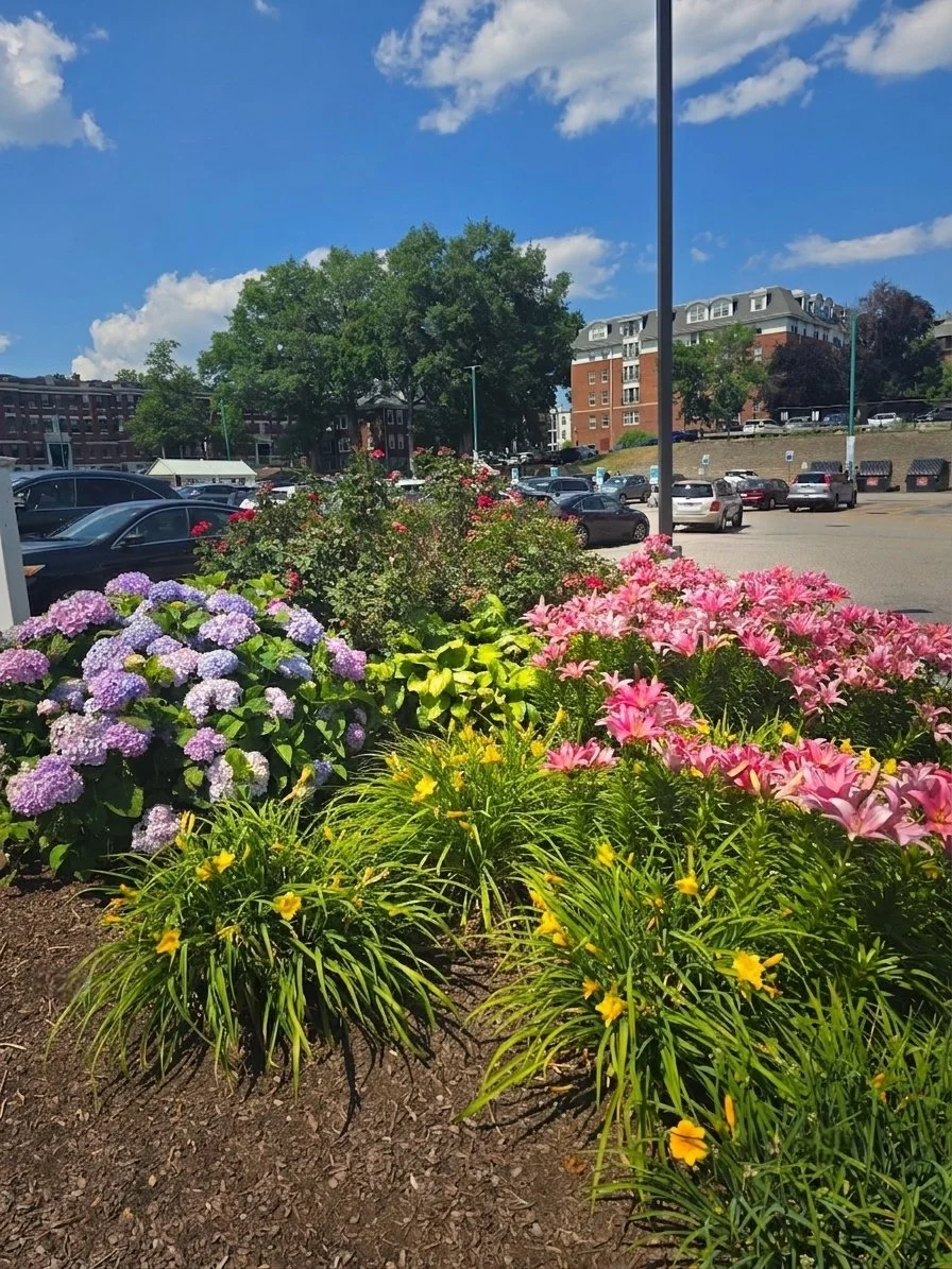 commercial-landscape-brookline-ma.jpg