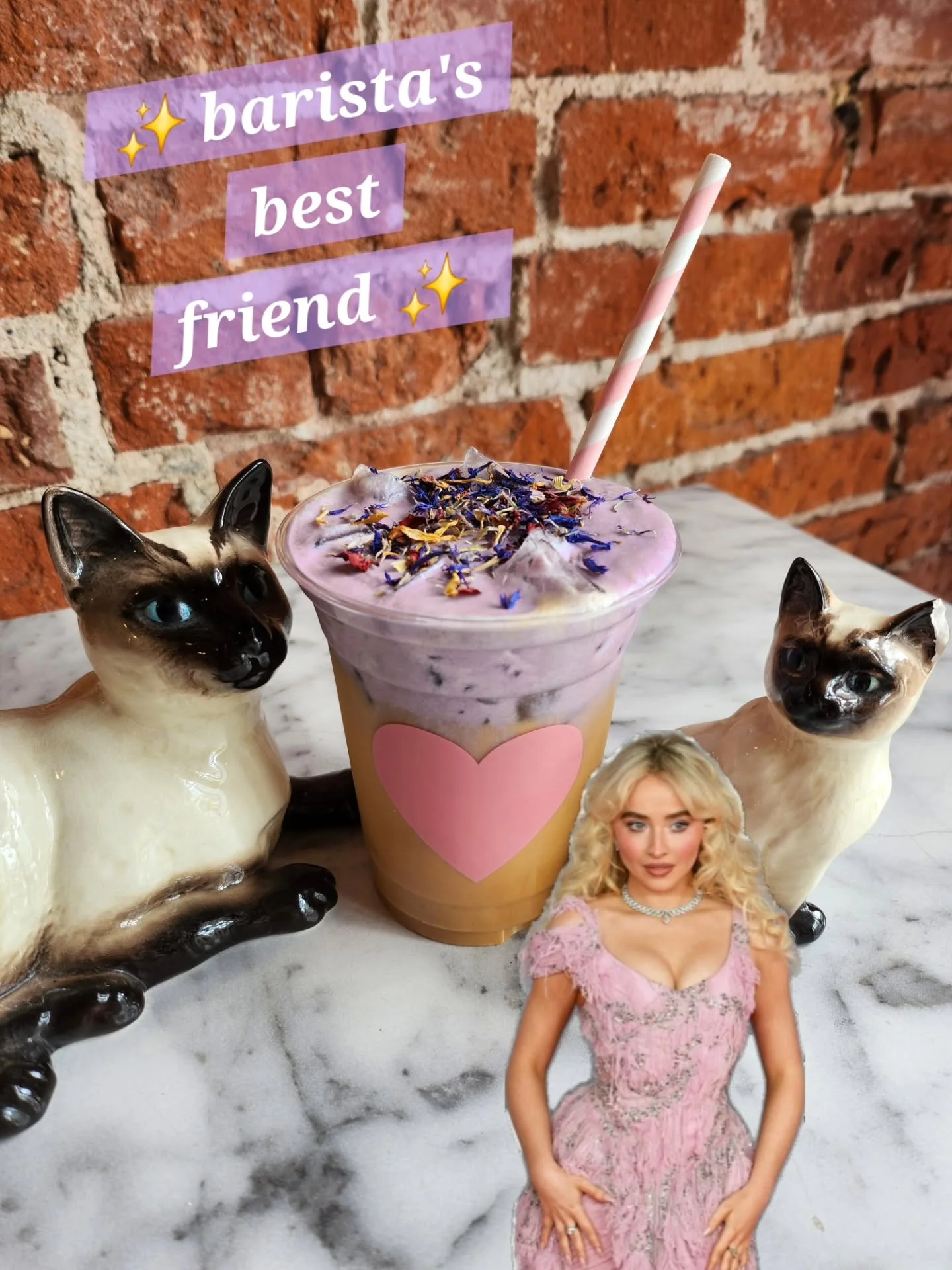 the hard launch to end all hard launches... our sabrina carpenter themed drink, barista's best friend! 💓✨️

this fabulous drink is in honor of @sabrinacarpenter new album, man's best friend, which drops tomorrow! 8/29 through 8/31 we're serving this