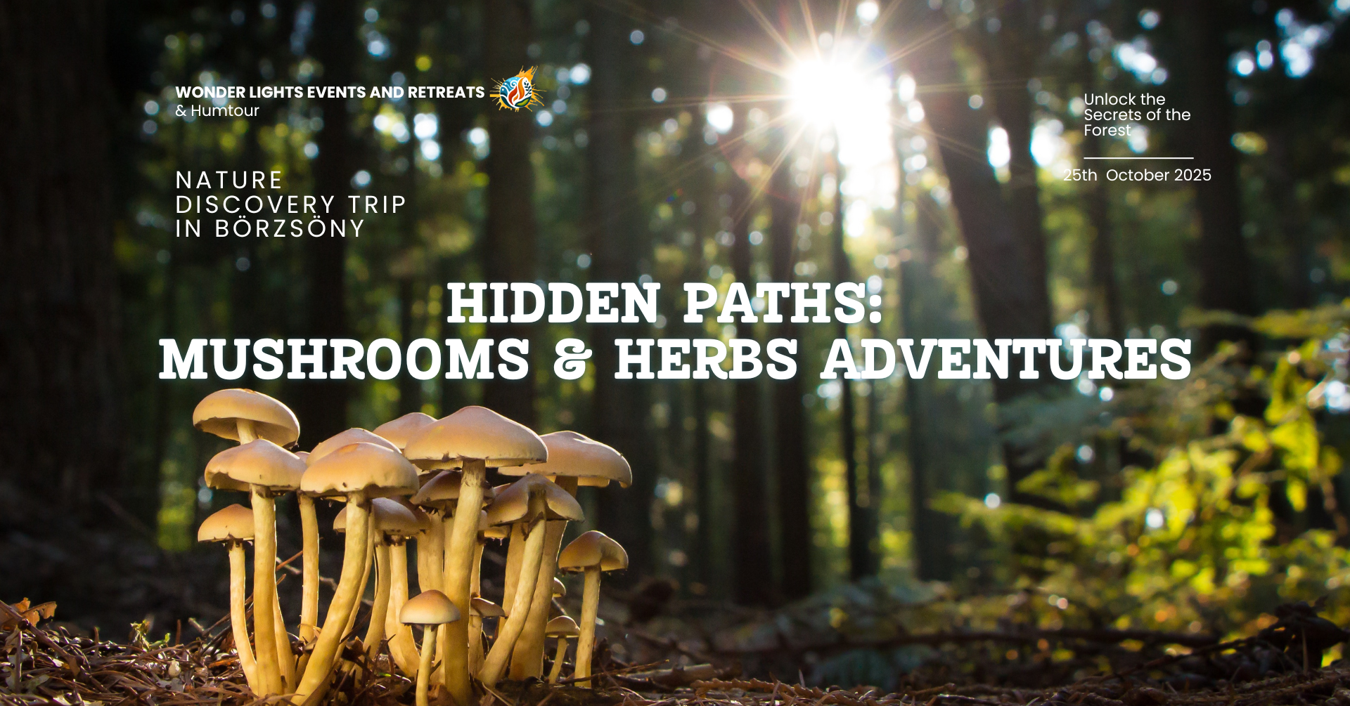 Hidden Paths: Mushrooms & Herbs Adventures