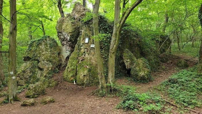Forest Sound Bath - Journey @ Maria Gorge