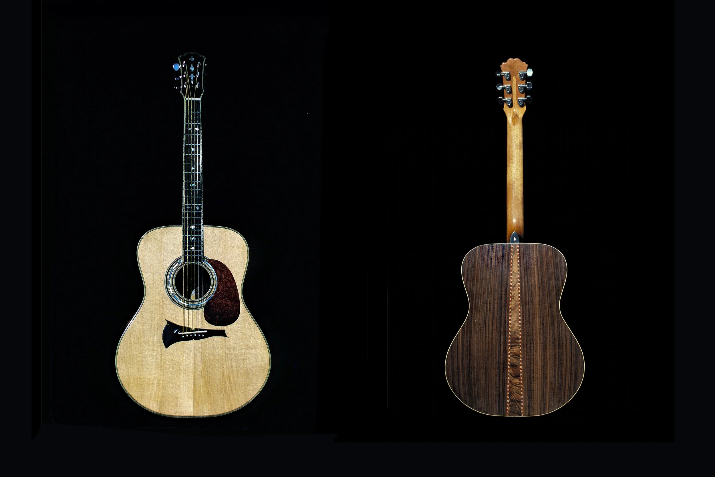 Steel String Guitar