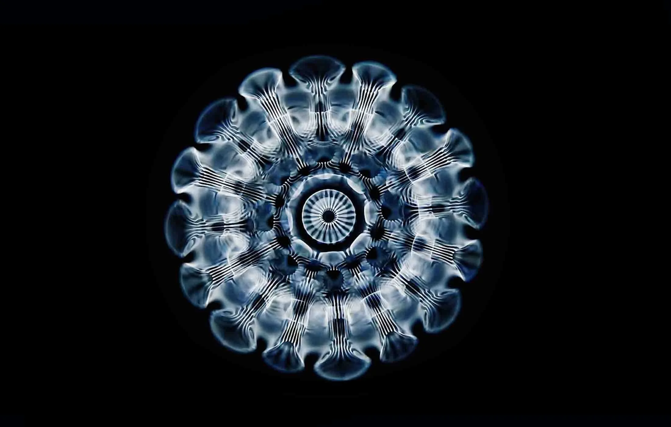 Track: Tranceformations 