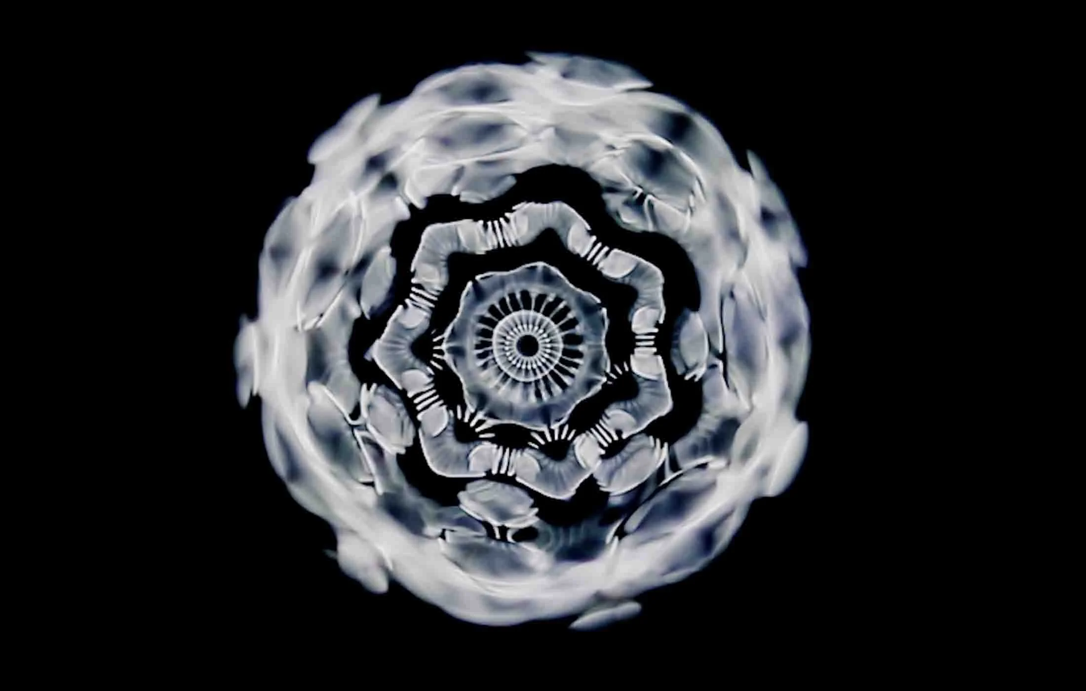 Track: This Fragrant Earth - Monks of Drepung Loseling