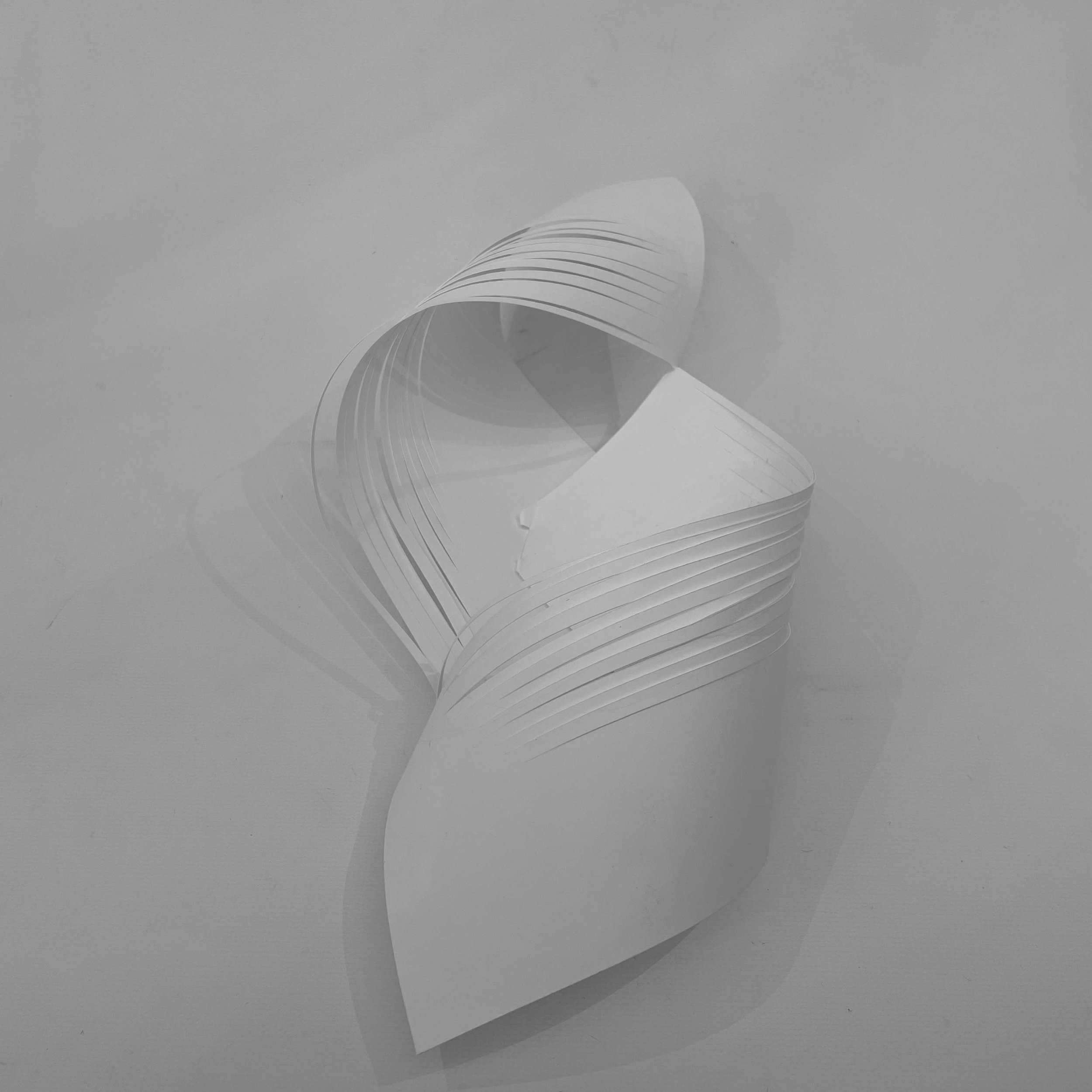 Study Model 4
