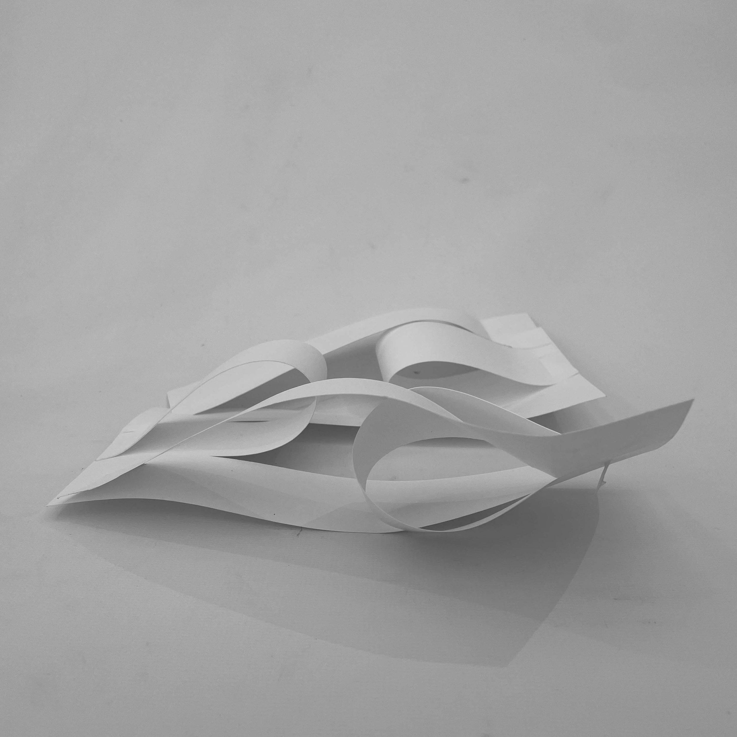 Study Model 11