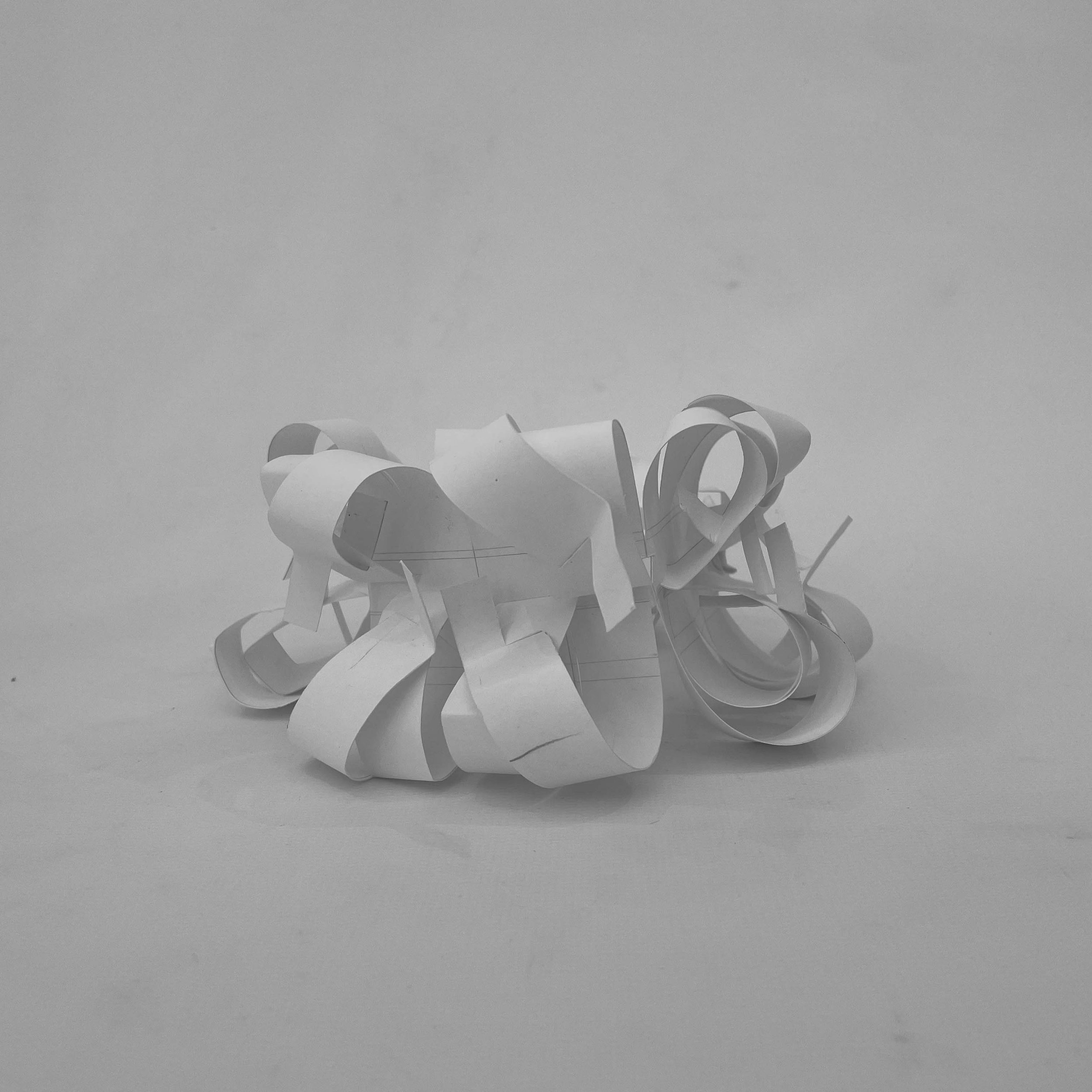 Study Model 10