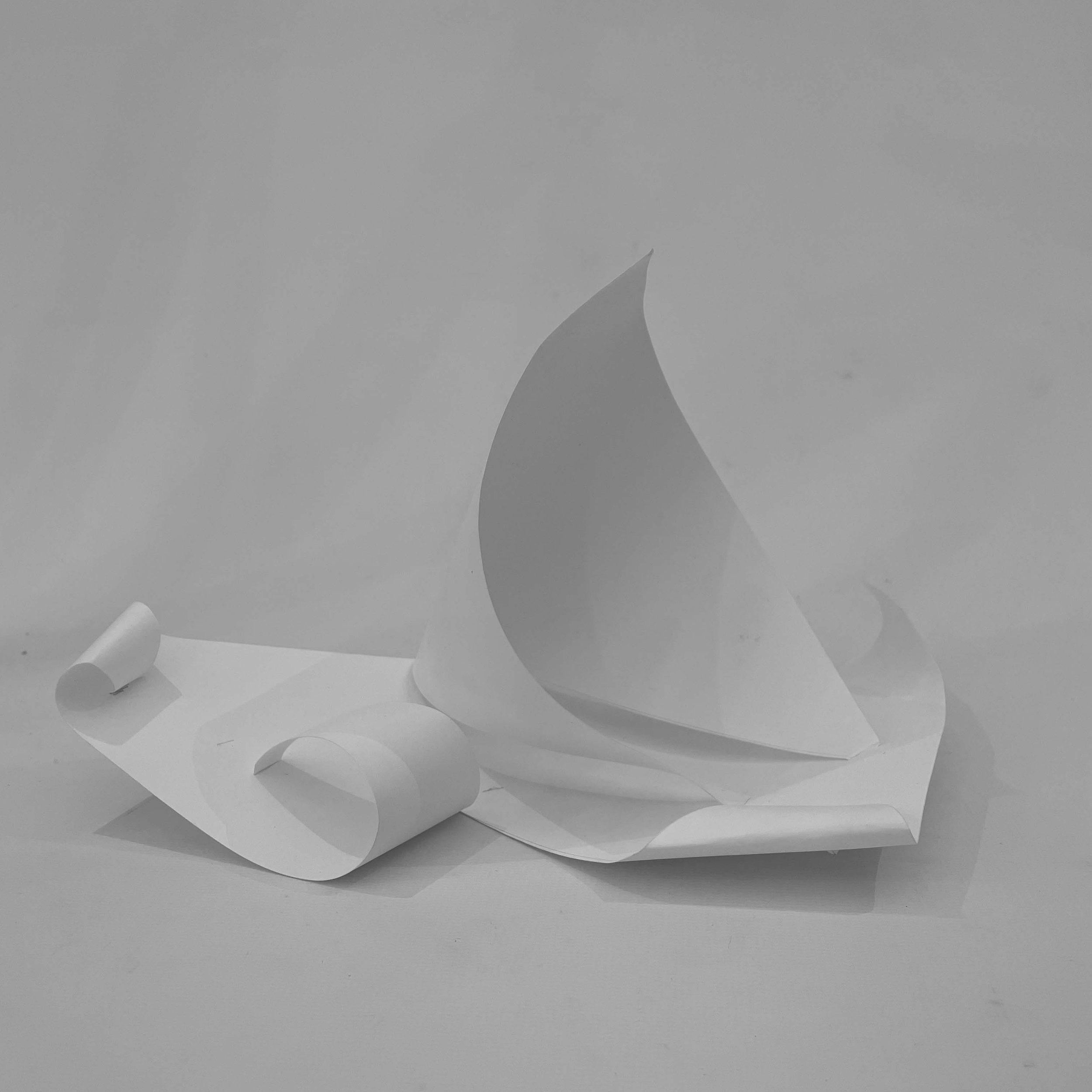 Study Model 6