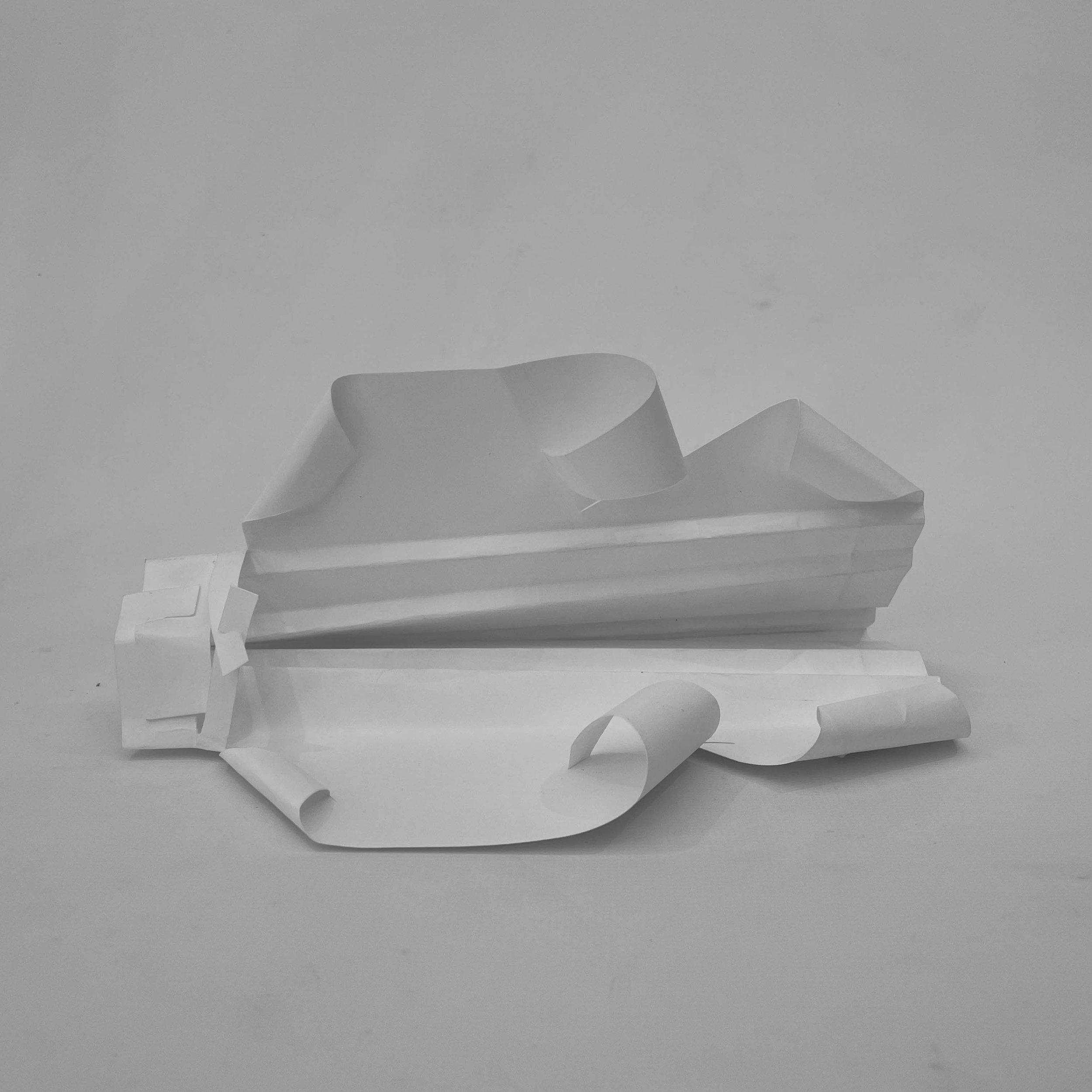 Study Model 8