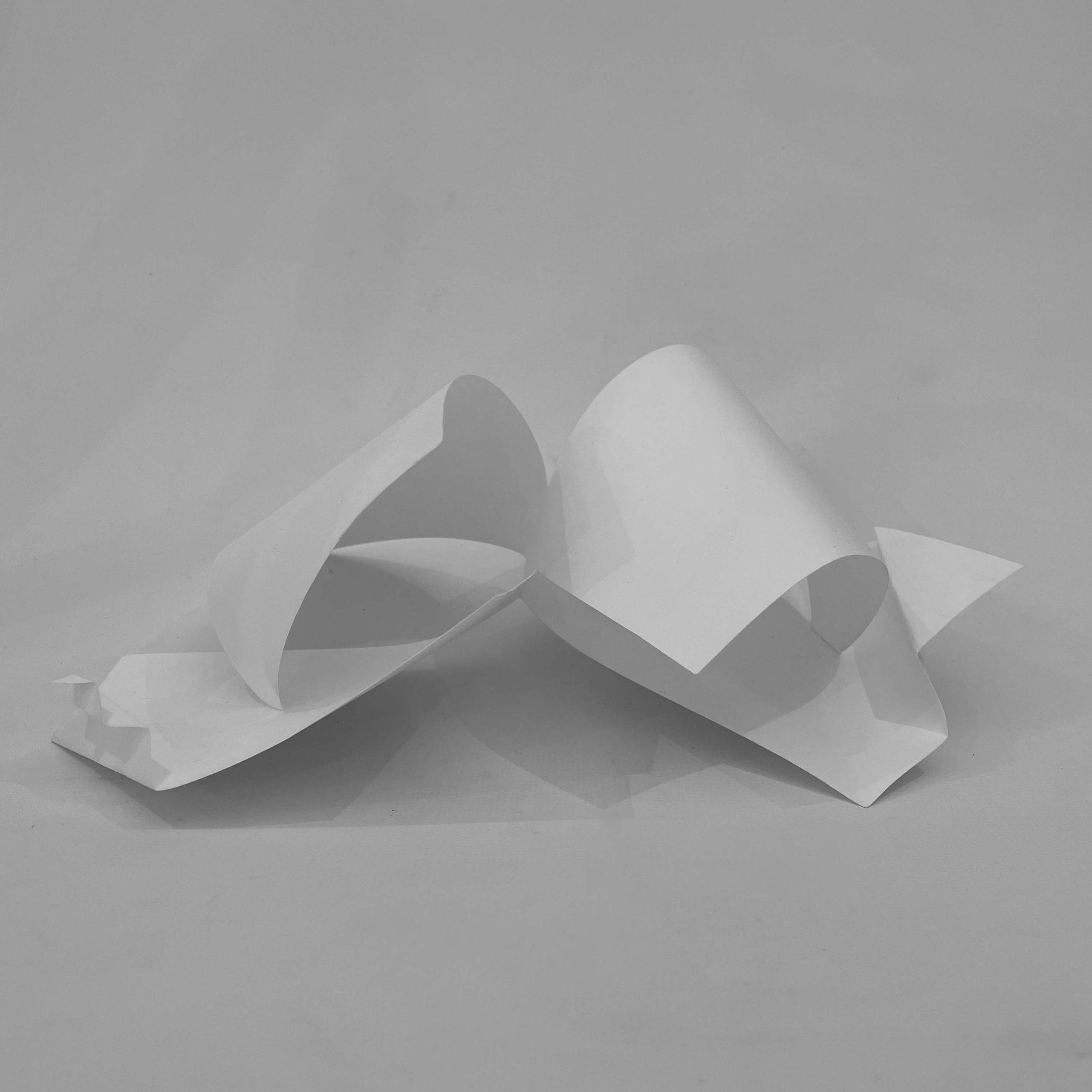 Study Model 5