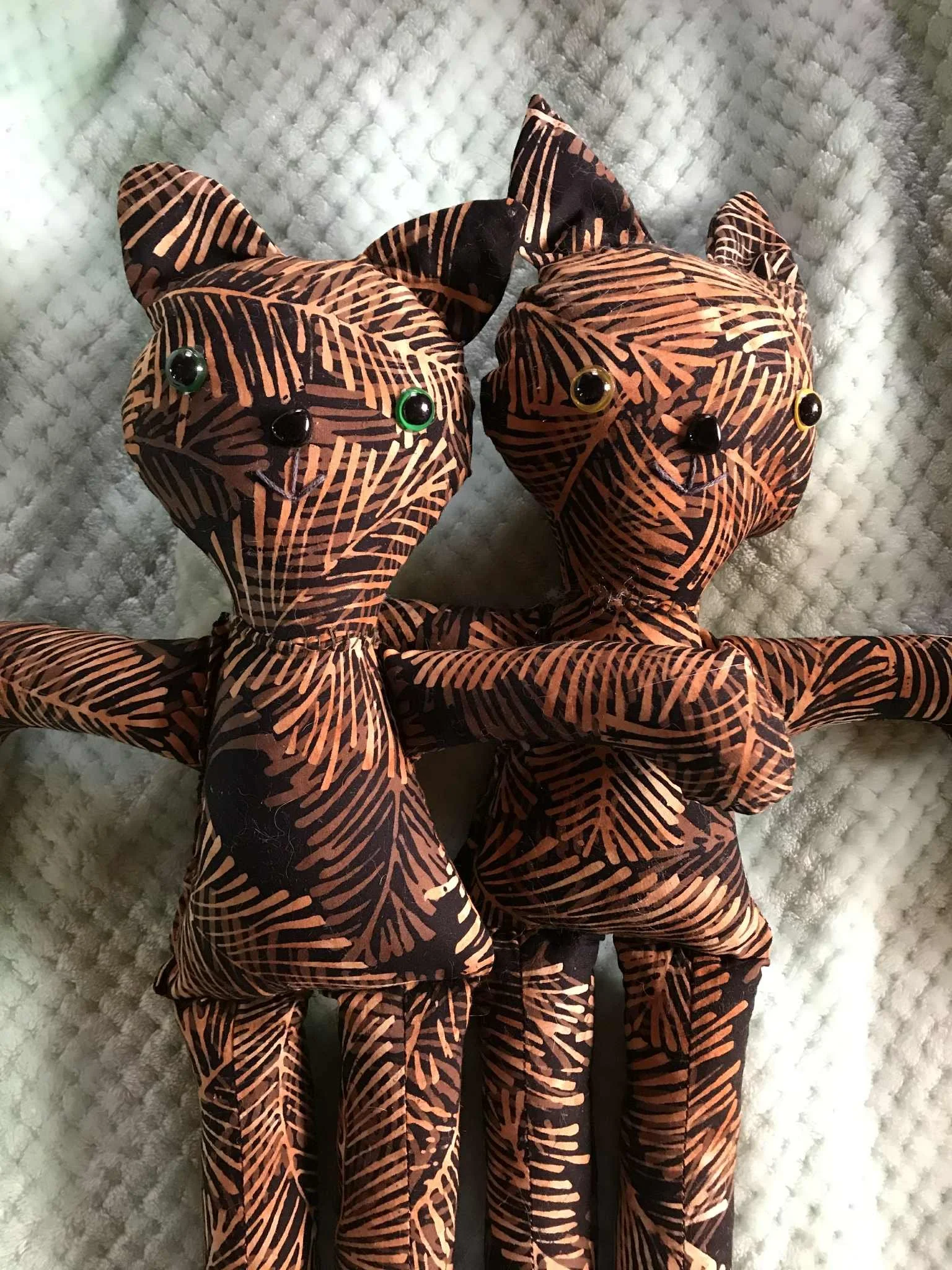 Tortoise Shell Kittys