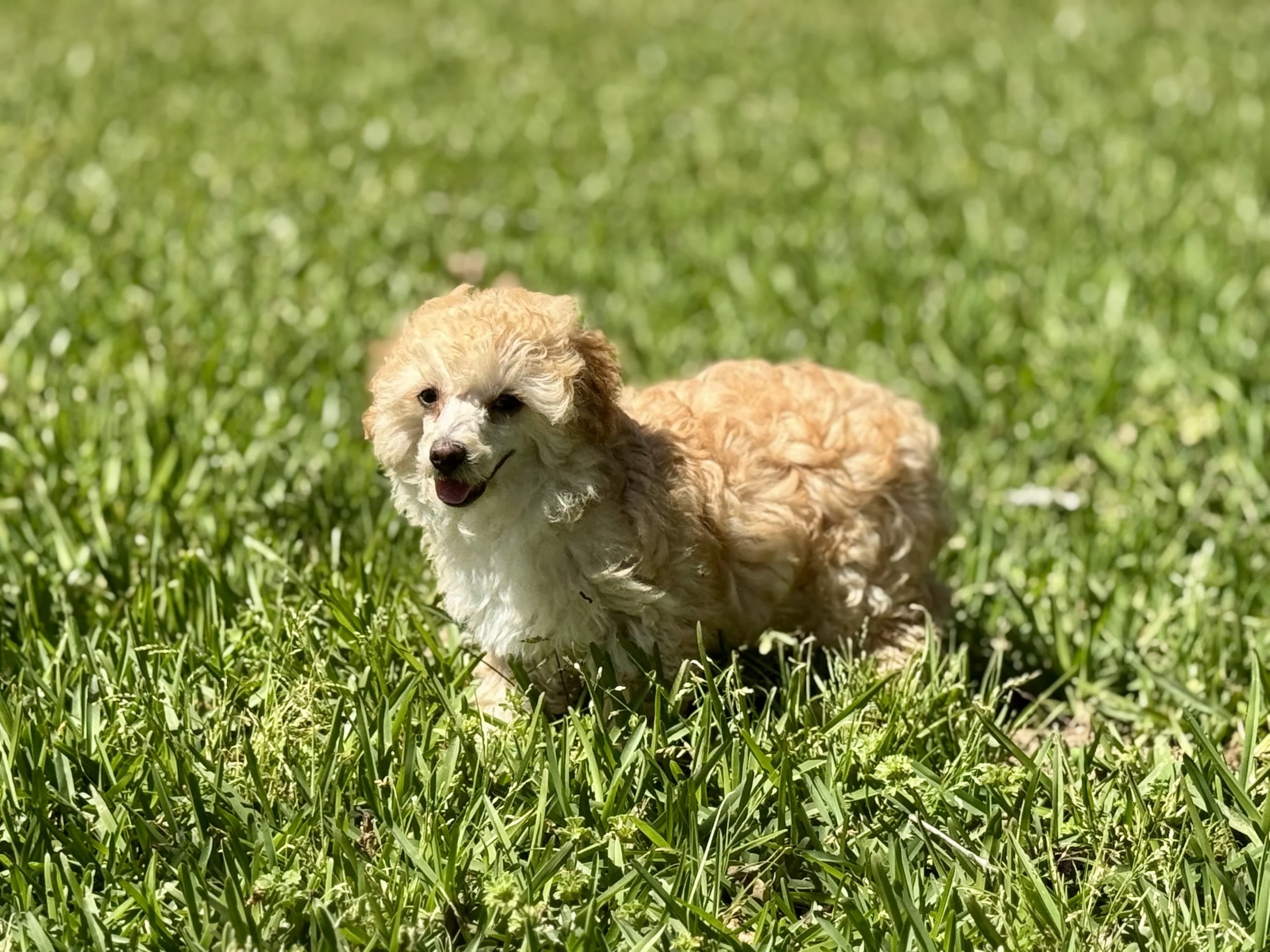 Photo Mar 22 2026, 2 37 35 PM.jpg