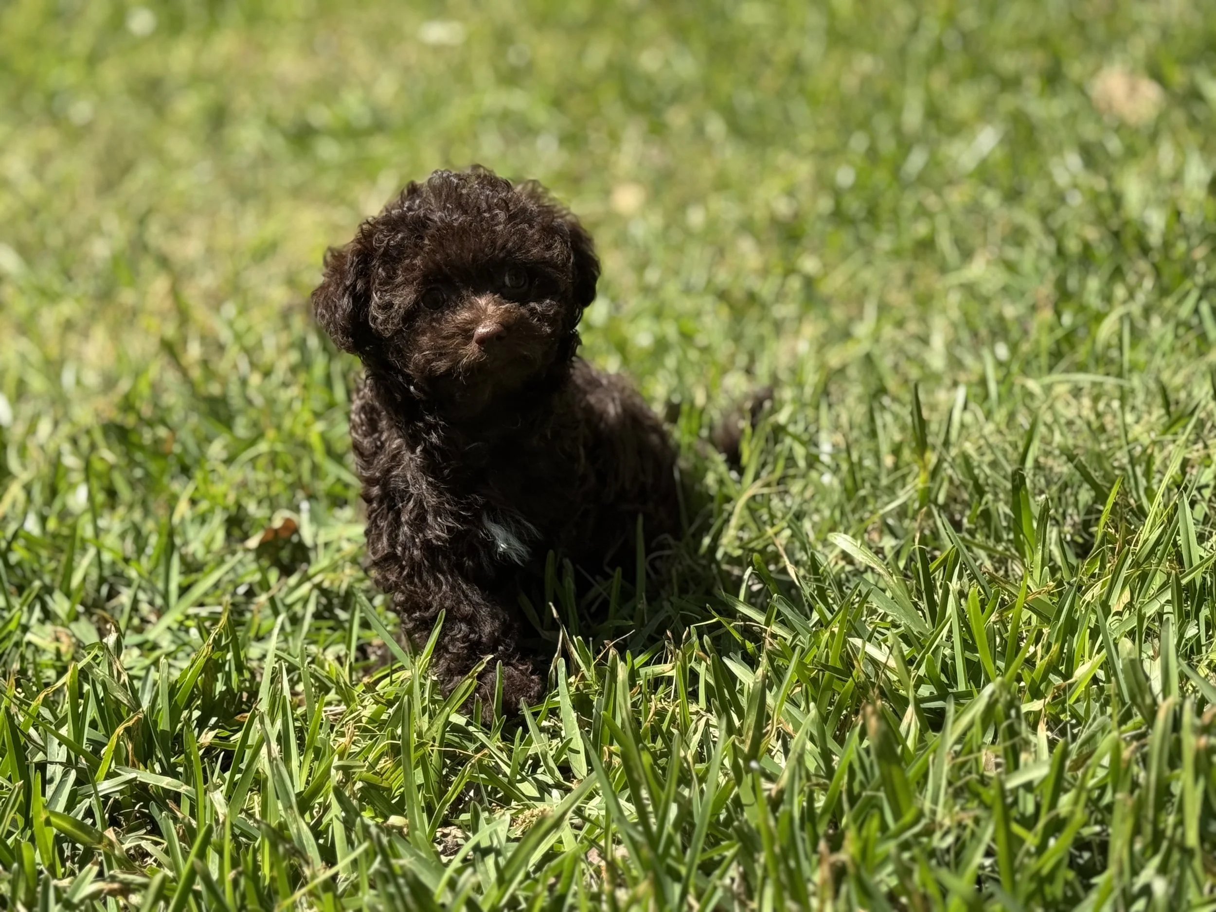 Photo Mar 22 2026, 1 57 22 PM.jpg