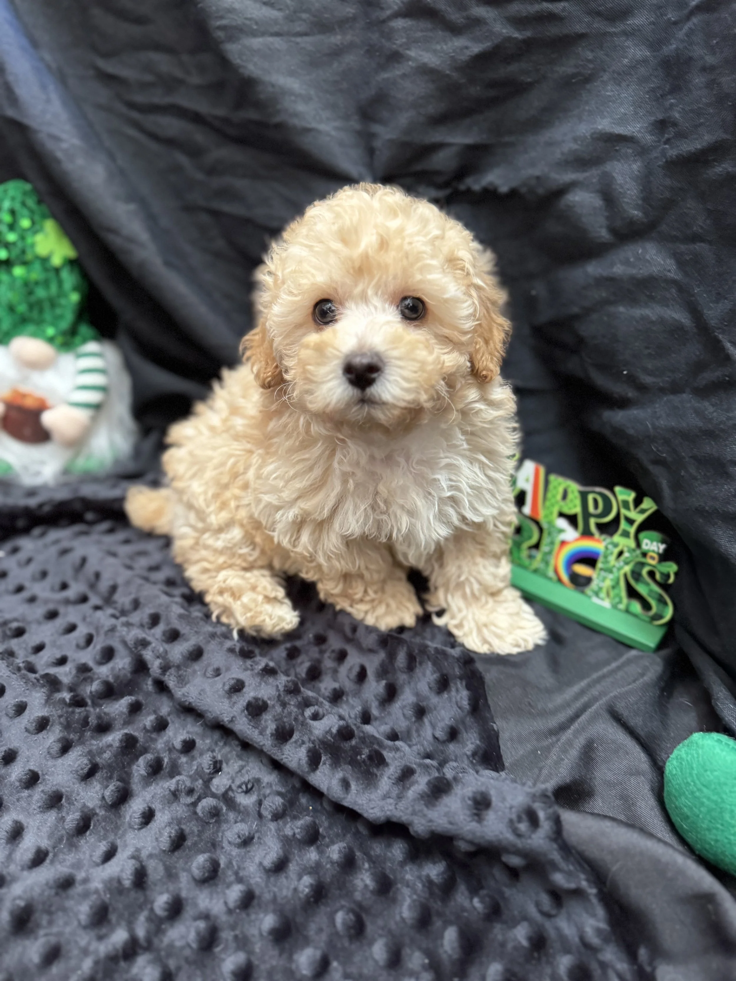 Photo Feb 22 2026, 11 58 17 AM.jpg