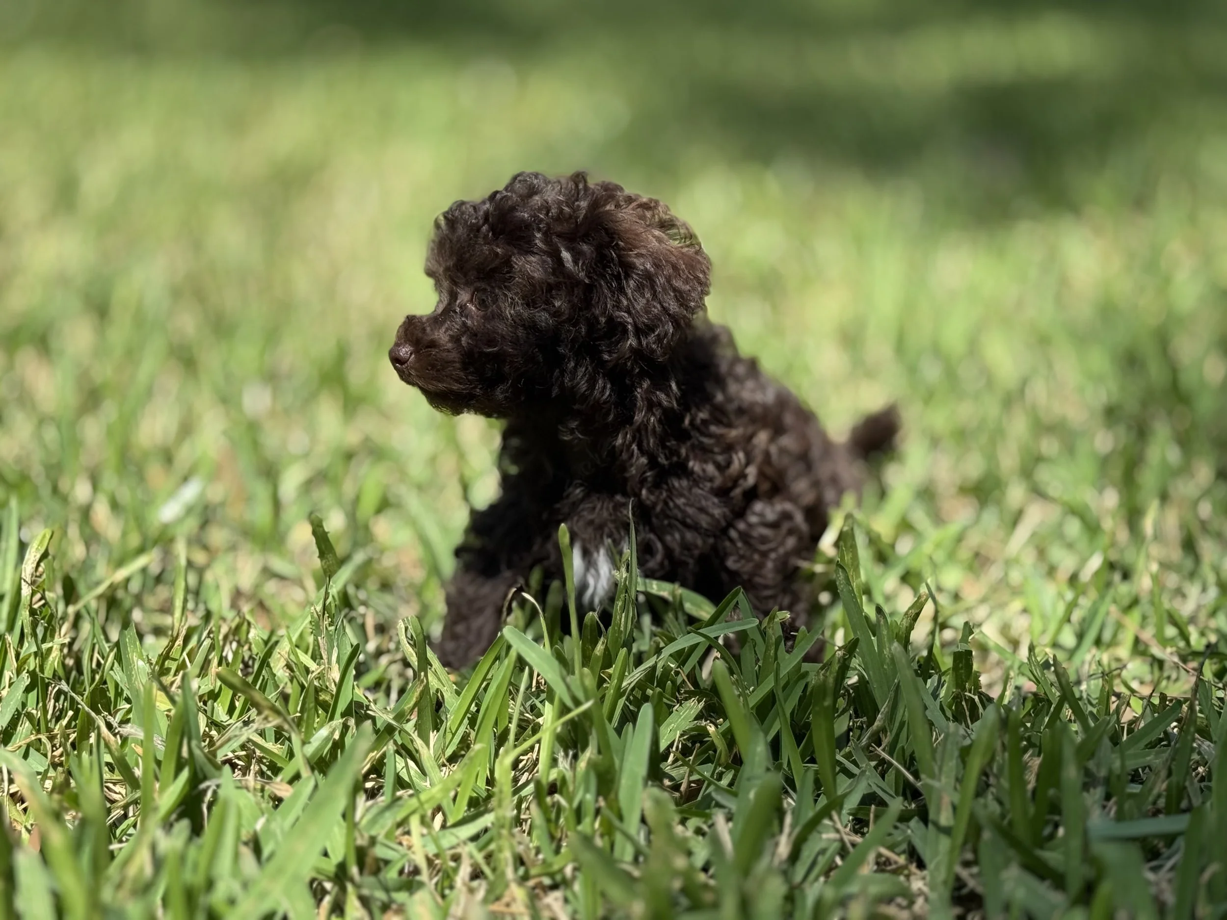 Photo Mar 22 2026, 2 00 15 PM.jpg