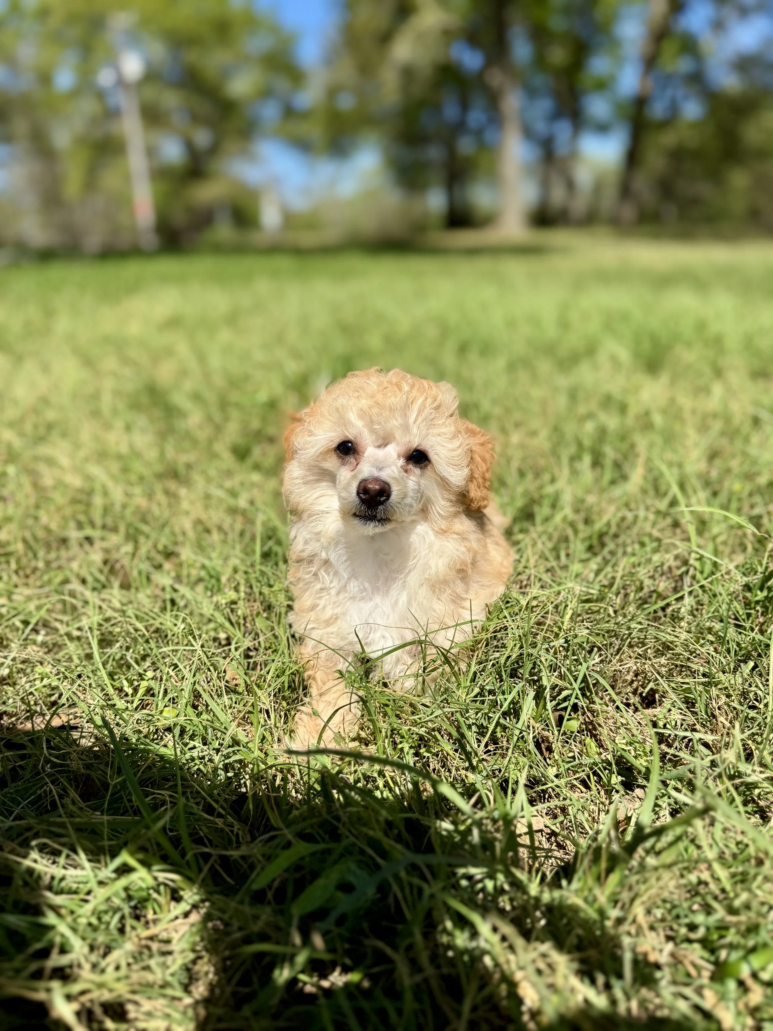 Photo Mar 22 2026, 2 34 35 PM.jpg