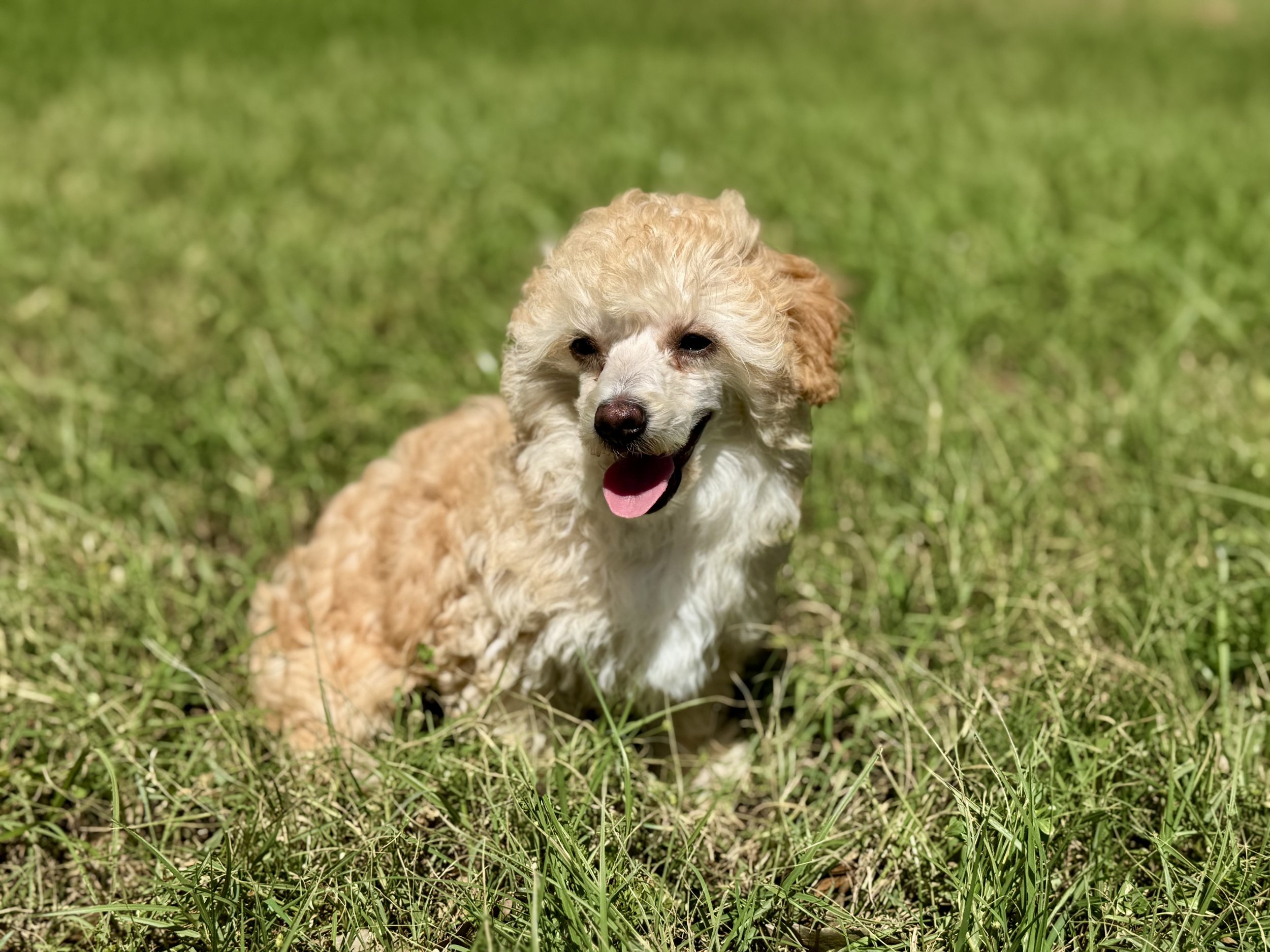 Photo Mar 22 2026, 2 34 25 PM.jpg