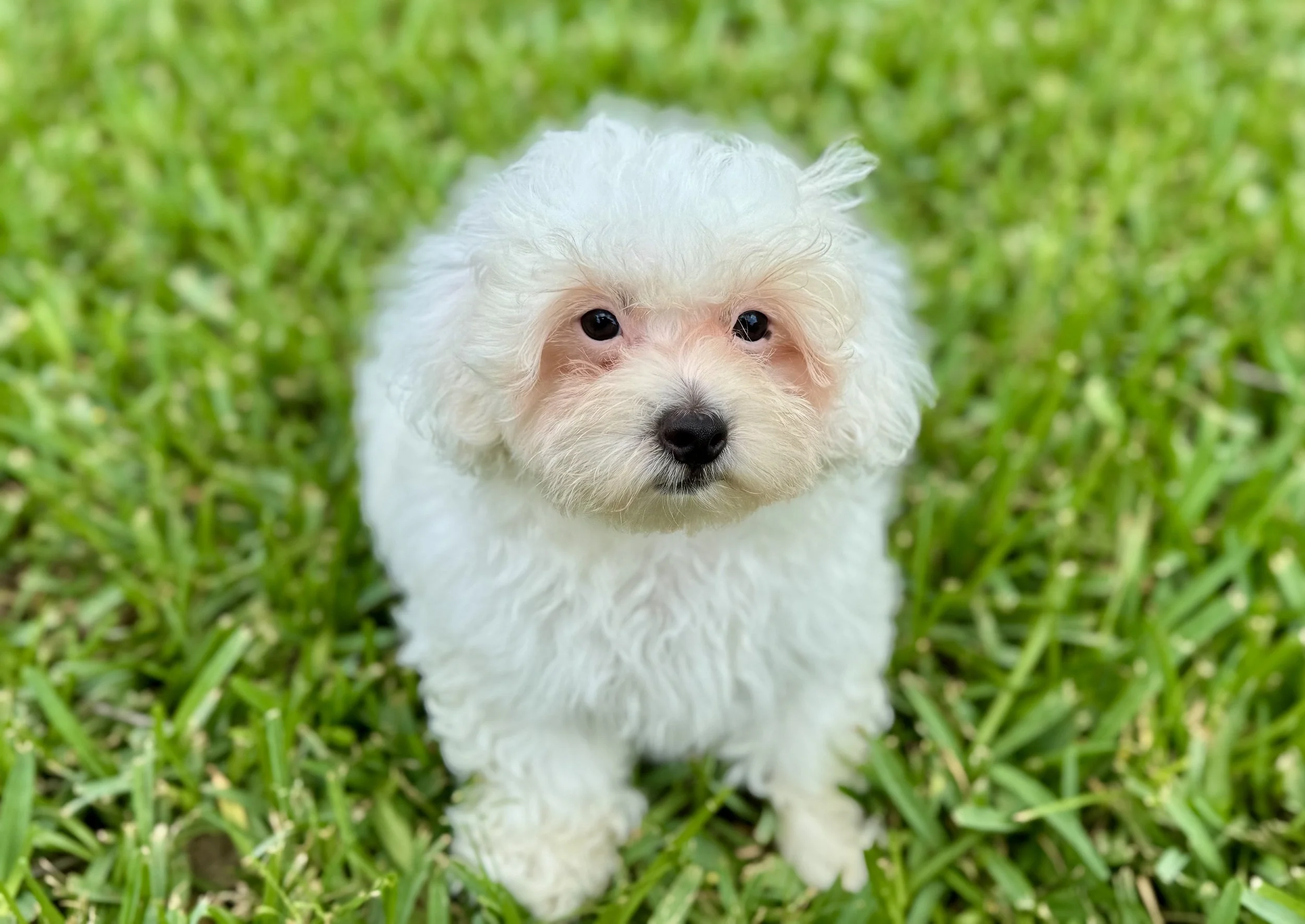 Photo Apr 27 2026, 12 27 48 PM.jpg