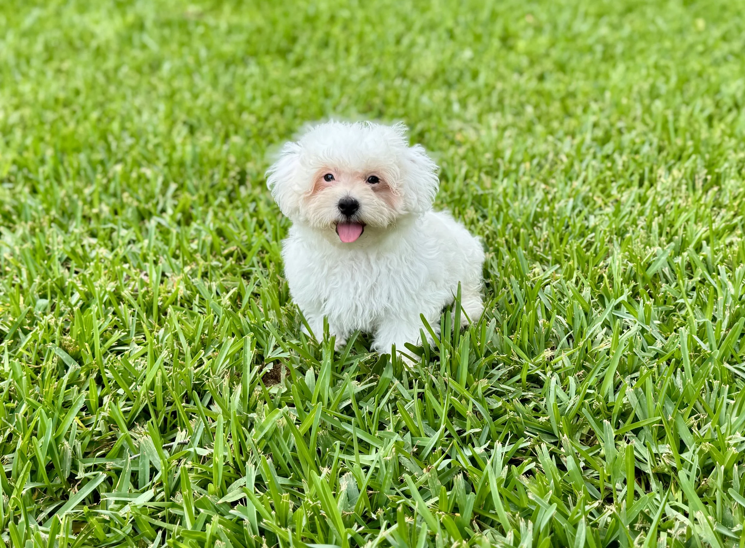 Photo Apr 27 2026, 12 29 18 PM.jpg