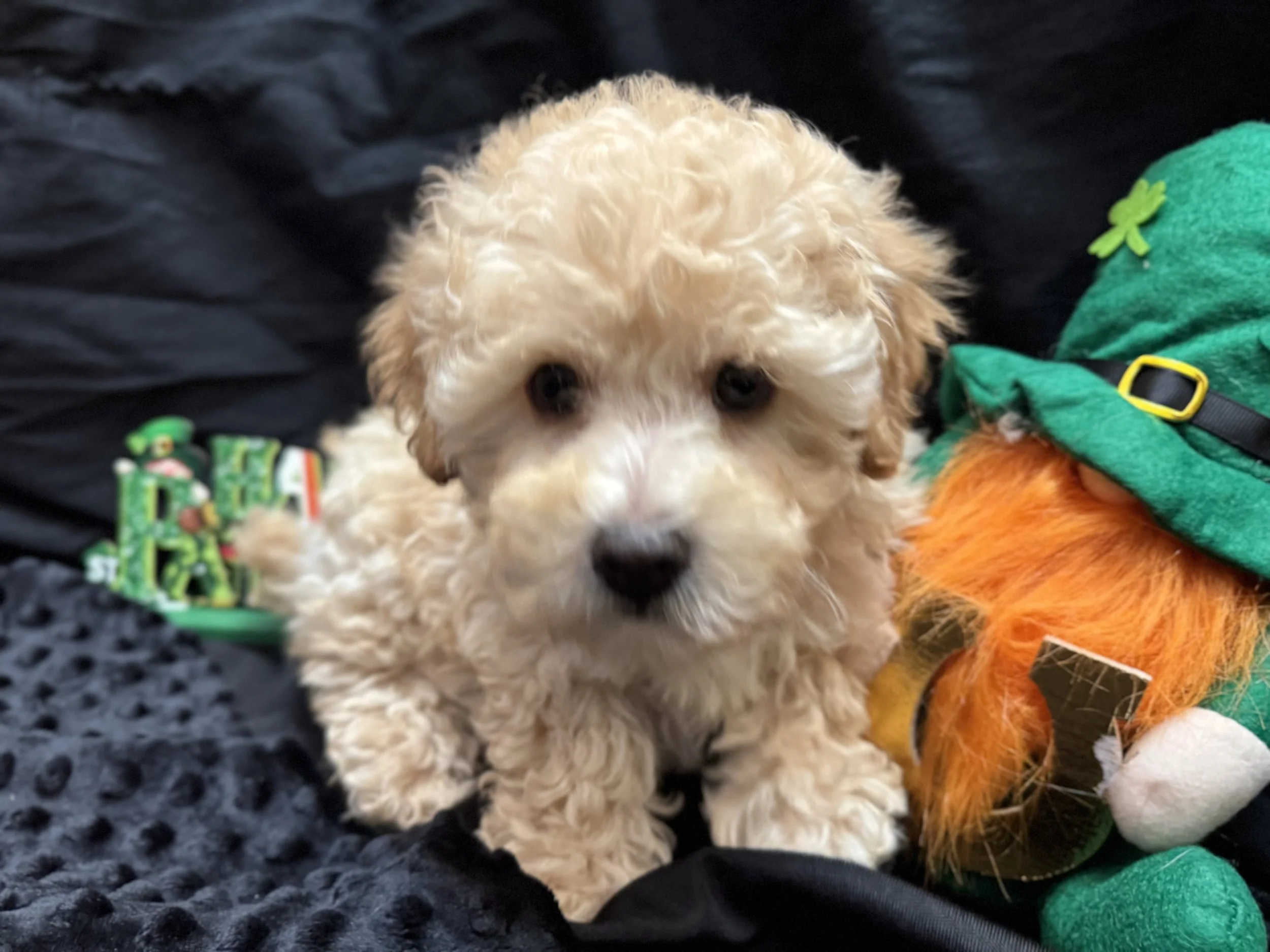 Photo Feb 22 2026, 12 00 25 PM.jpg