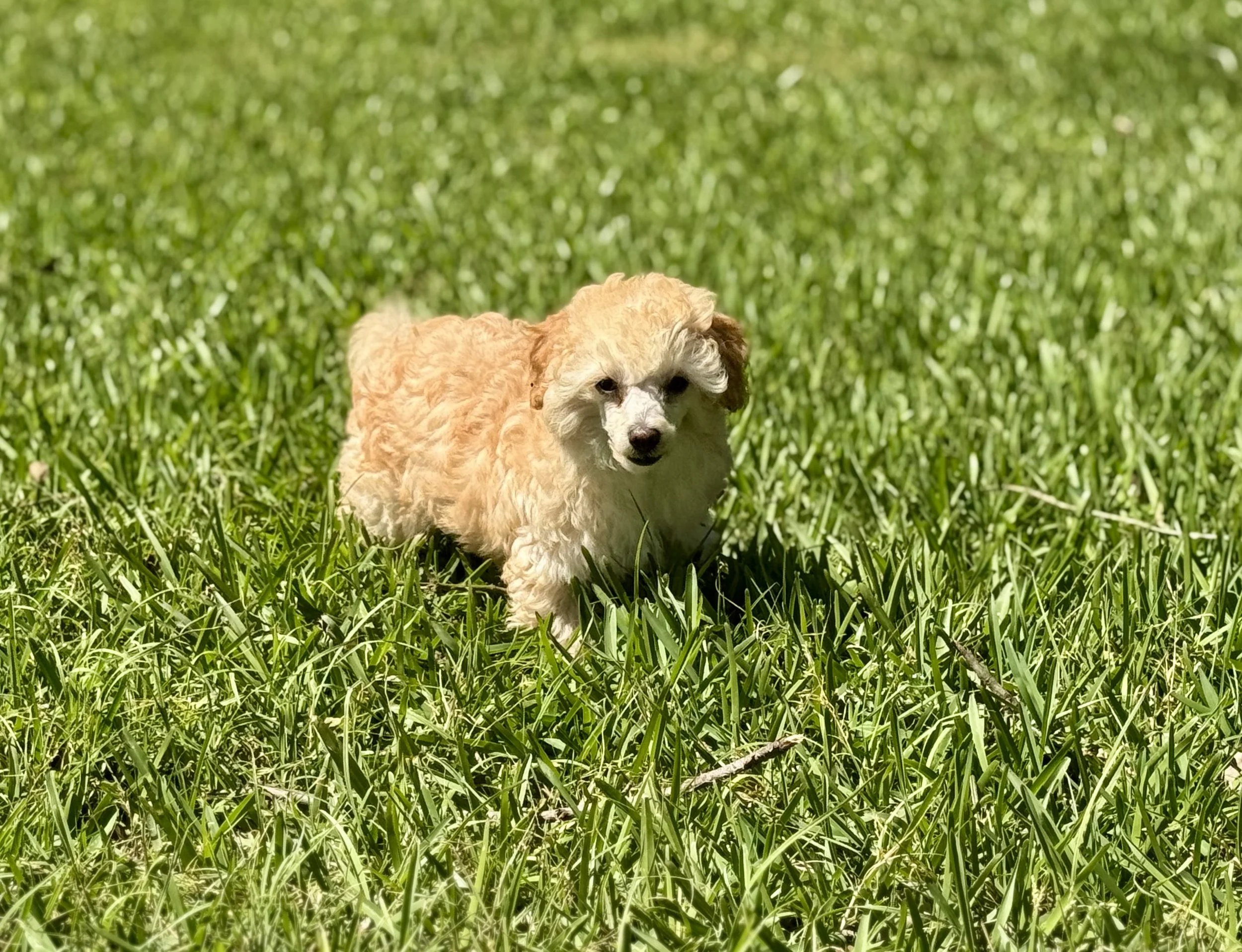 Photo Mar 22 2026, 2 33 13 PM.jpg