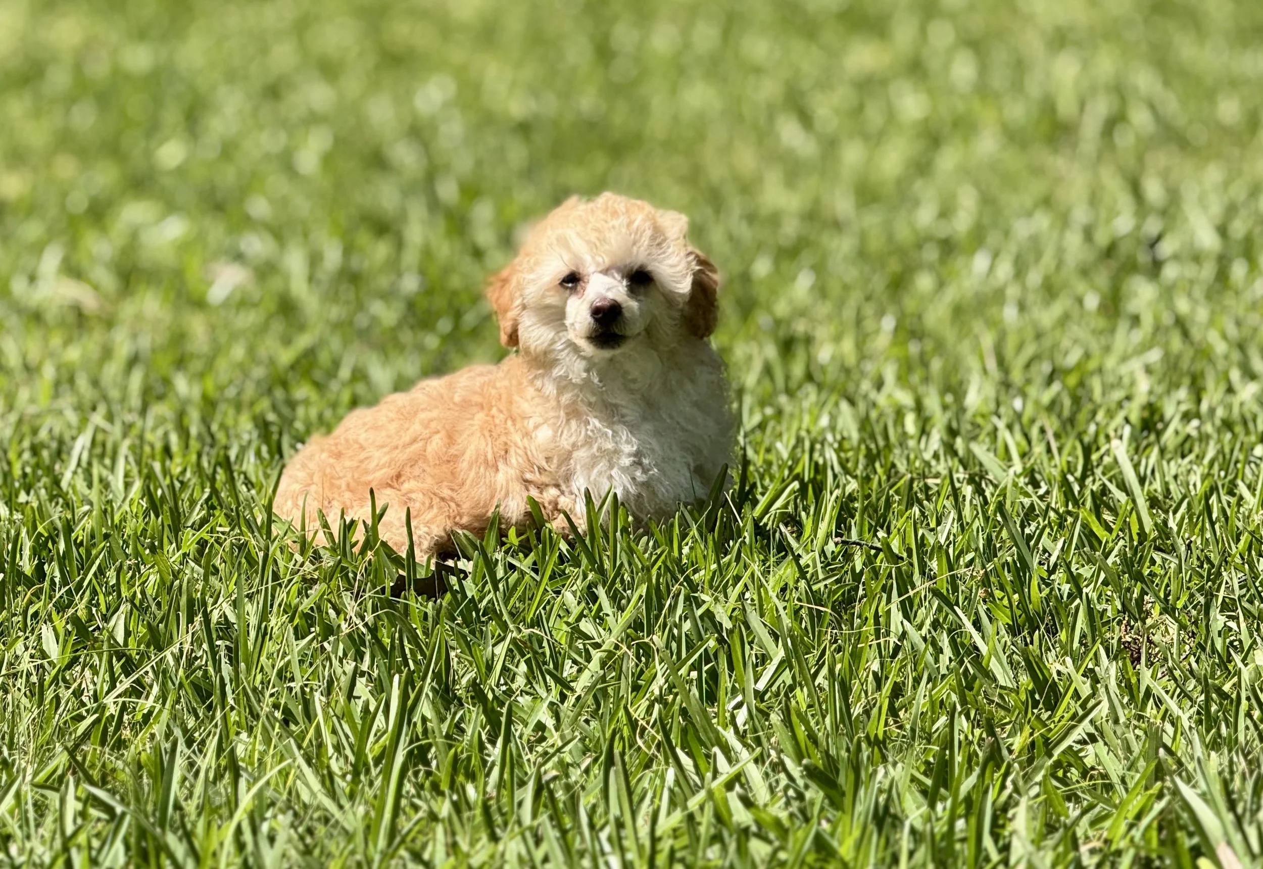 Photo Mar 22 2026, 2 33 09 PM.jpg