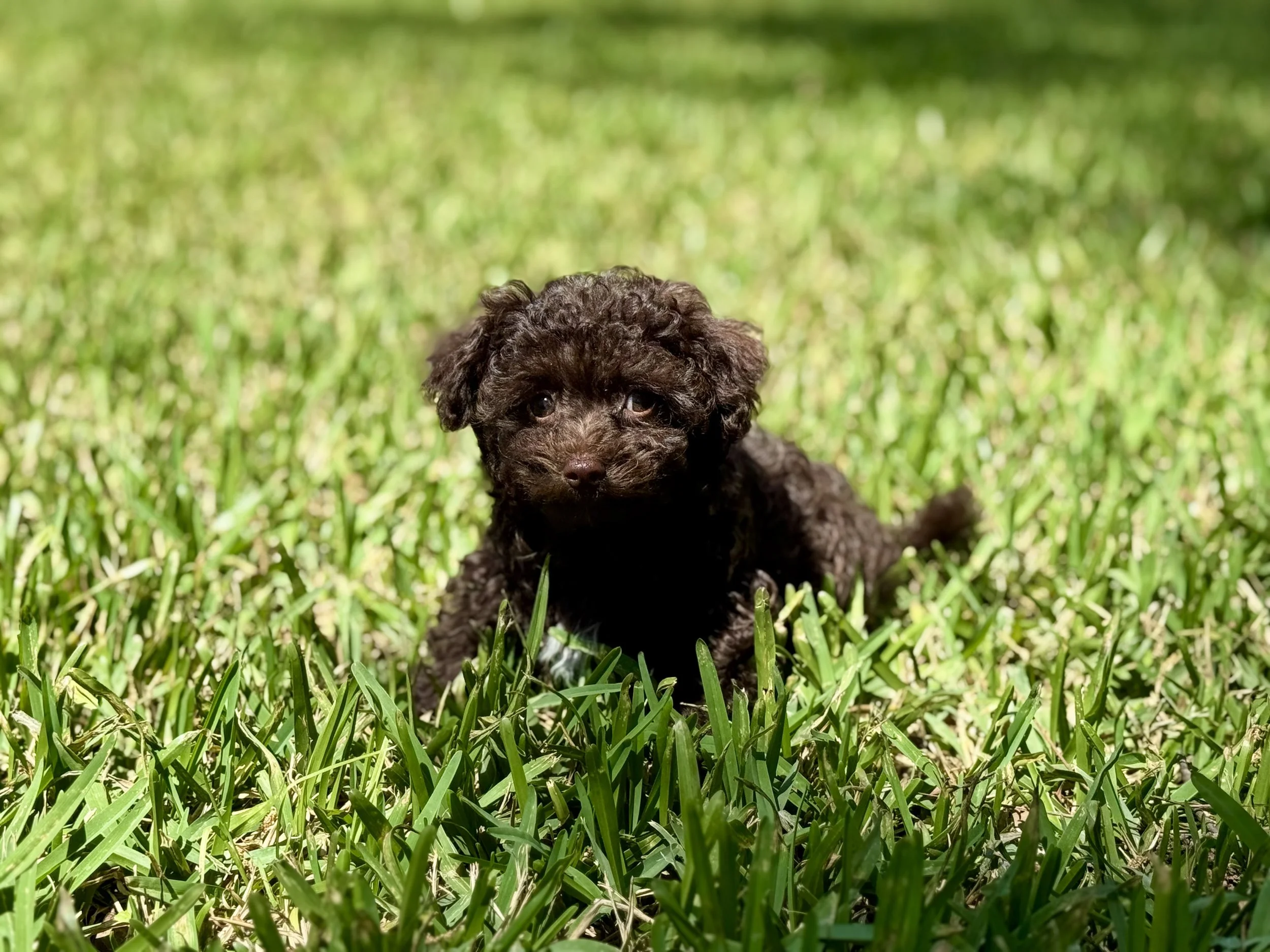 Photo Mar 22 2026, 2 00 20 PM.jpg