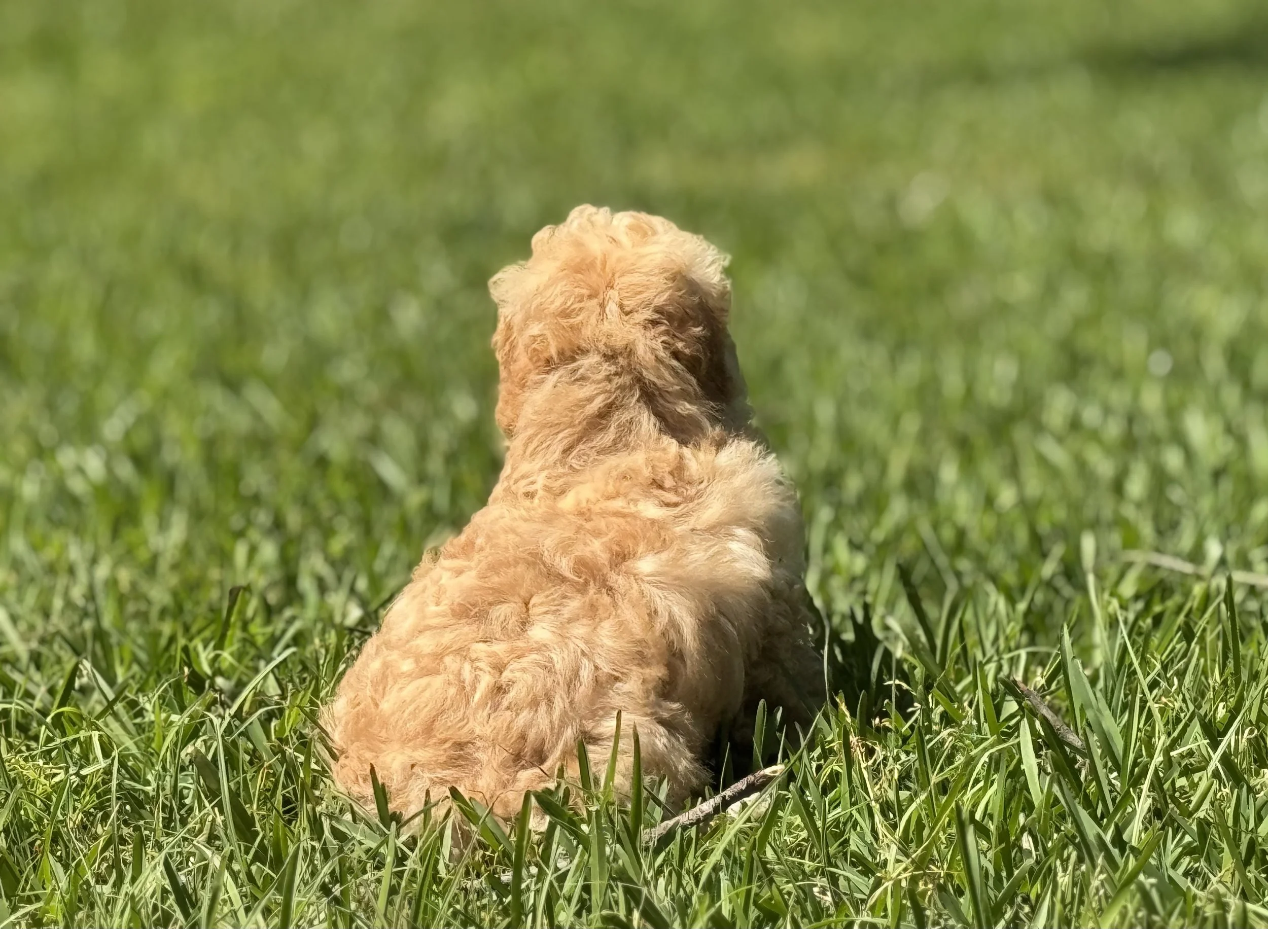 Photo Mar 22 2026, 2 33 23 PM.jpg