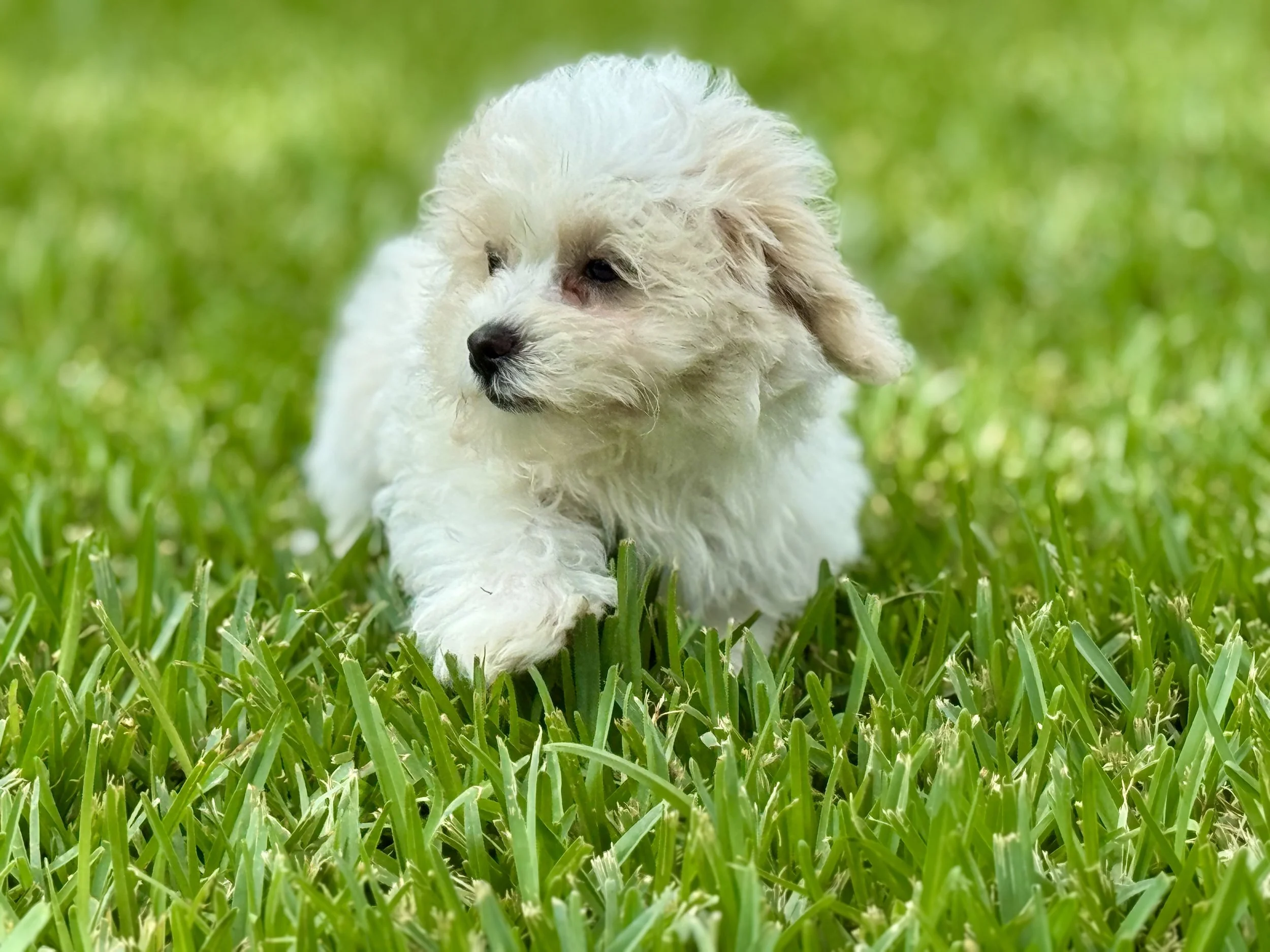 Photo Apr 27 2026, 12 16 13 PM.jpg