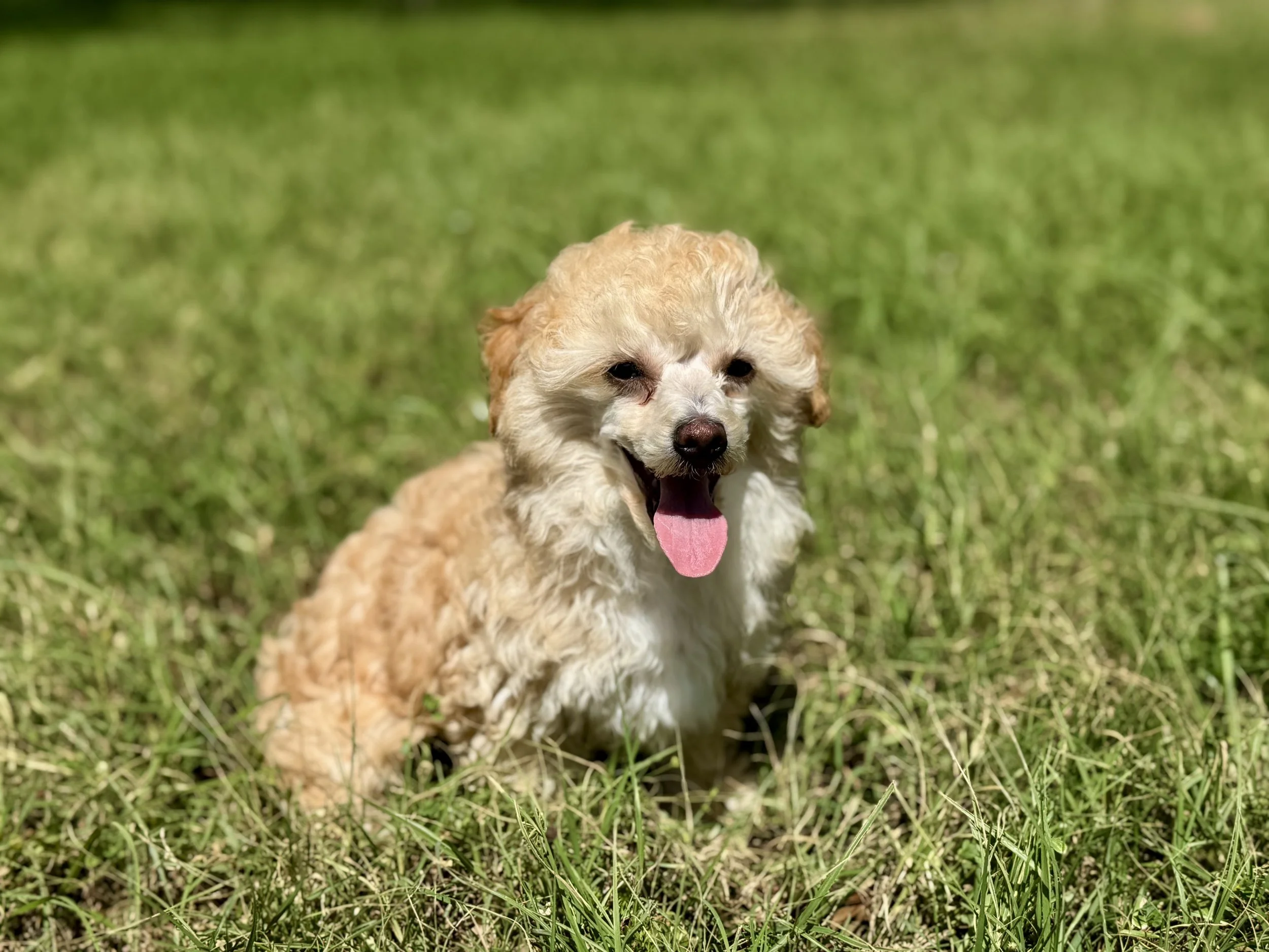 Photo Mar 22 2026, 2 34 23 PM.jpg