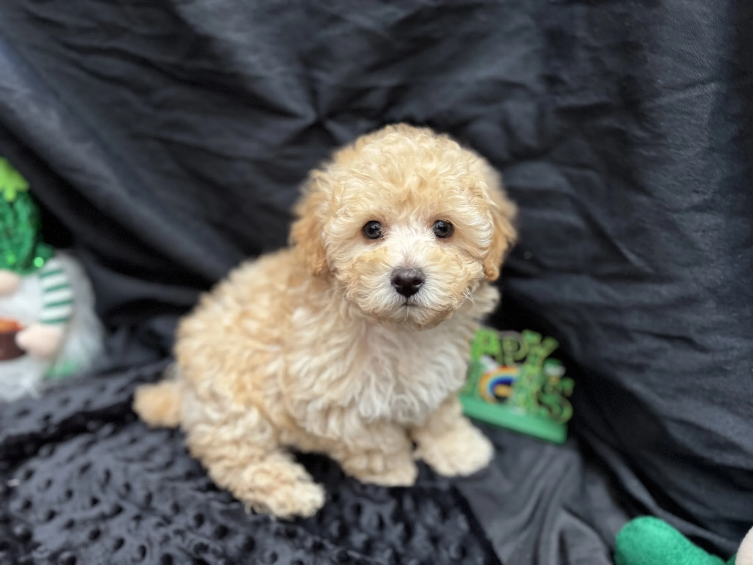 Photo Feb 22 2026, 11 58 12 AM.jpg