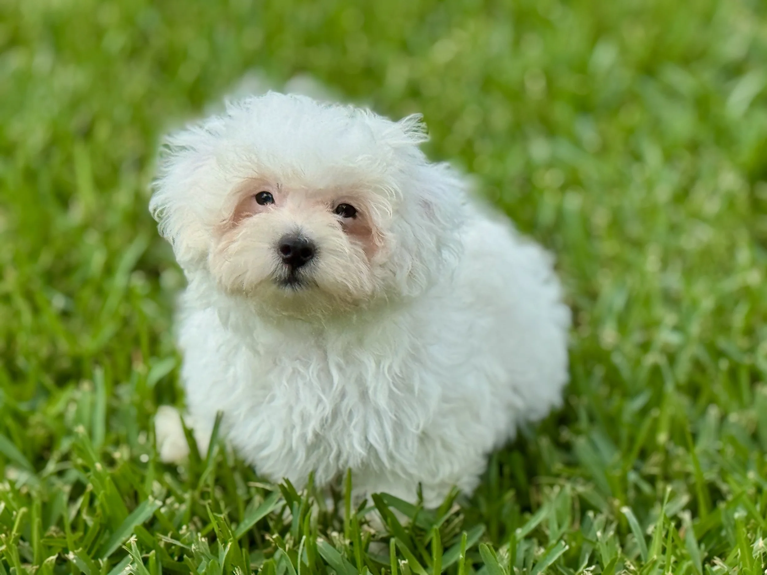 Photo Apr 27 2026, 12 26 40 PM.jpg