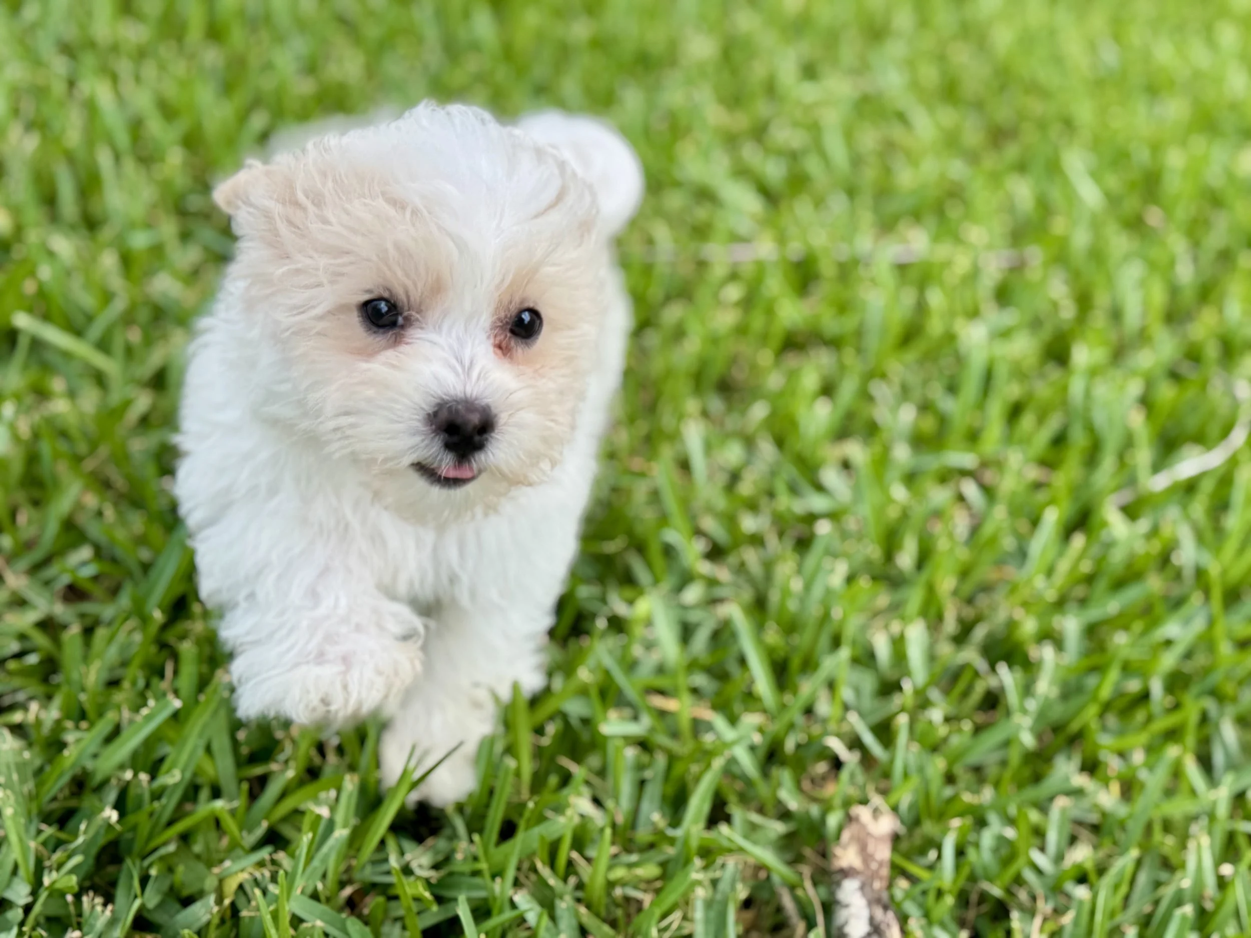 Photo Apr 27 2026, 12 17 24 PM.jpg